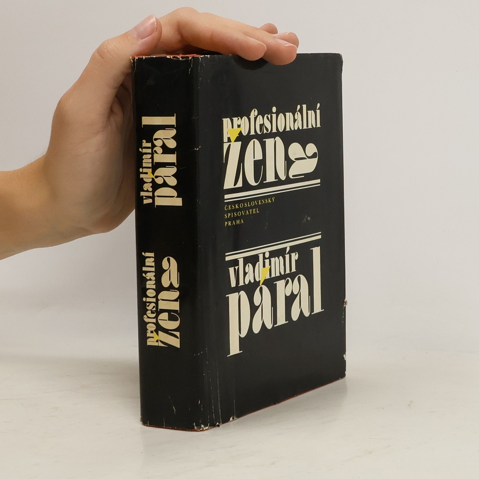 Vladimír Páral Profesionální žena