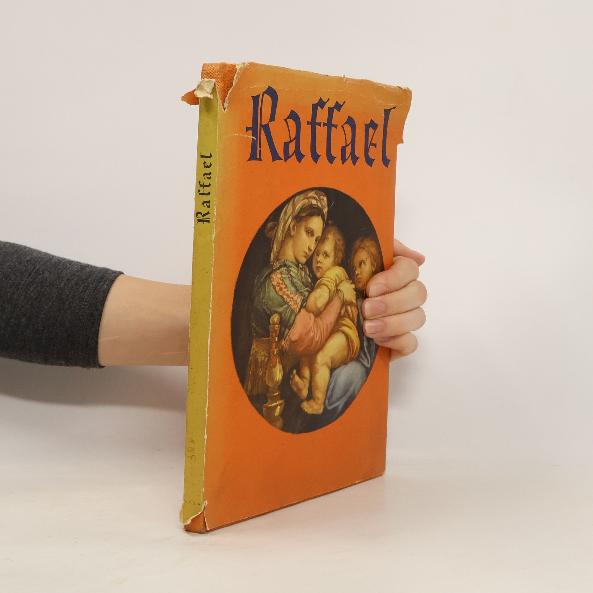 kolektiv Raffael
