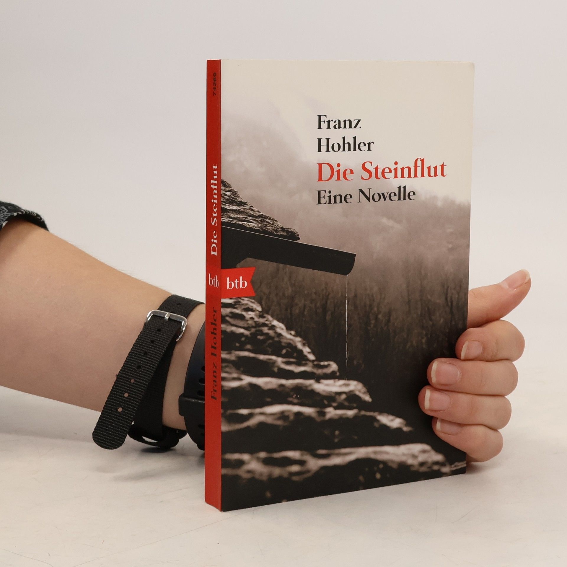 Franz Hohler Die Steinflut