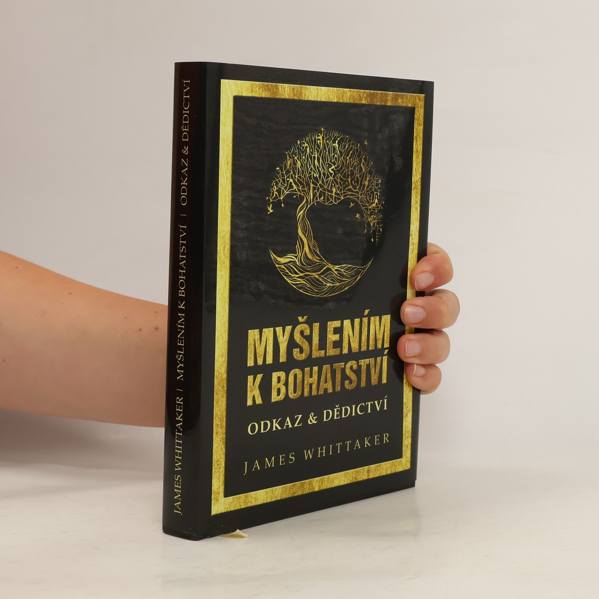 Myšlením k bohatství : Odkaz a dědictví (Jak dosahují úspěchu velcí myslitelé, lídři světa obchodu a kulturní ikony)