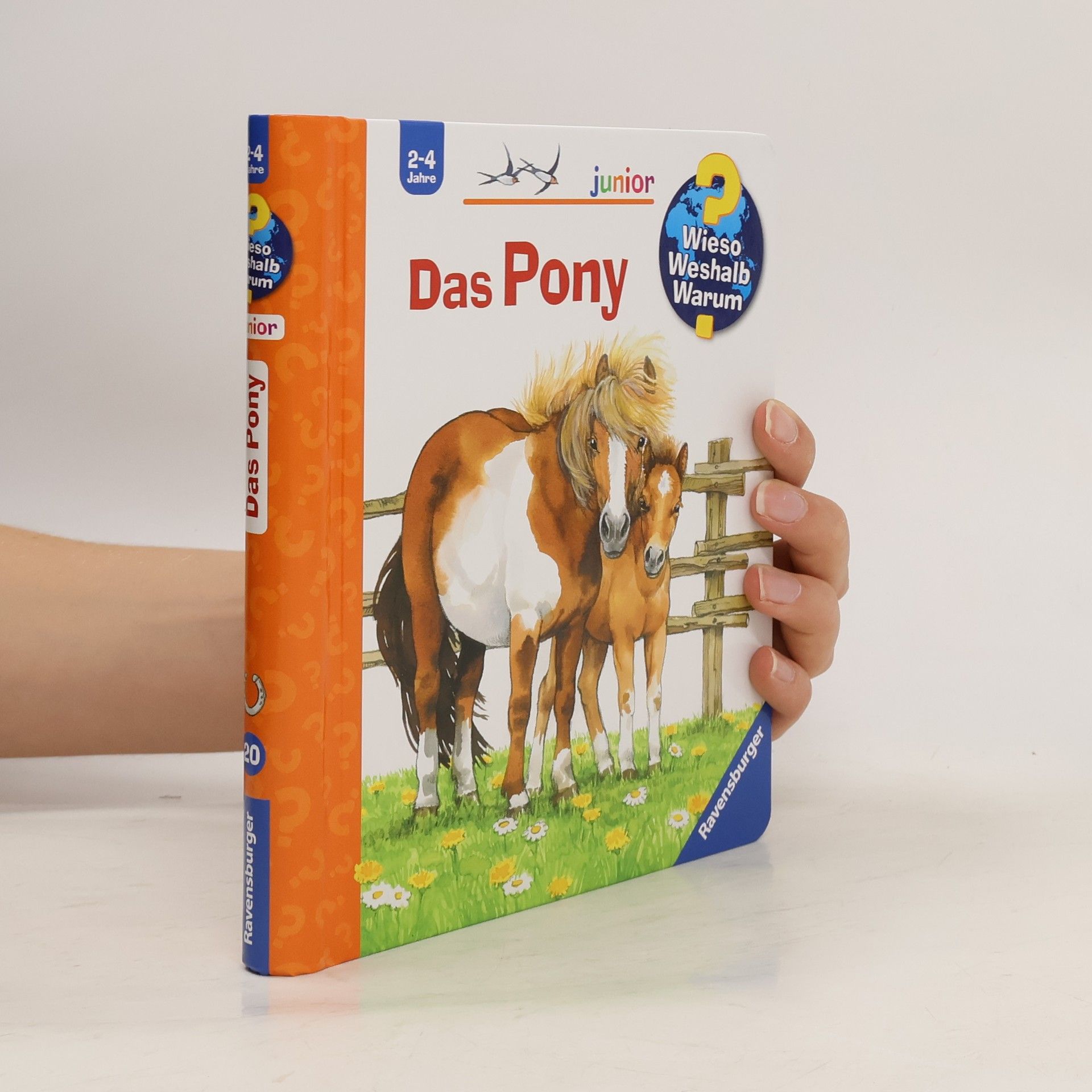 Das Pony
