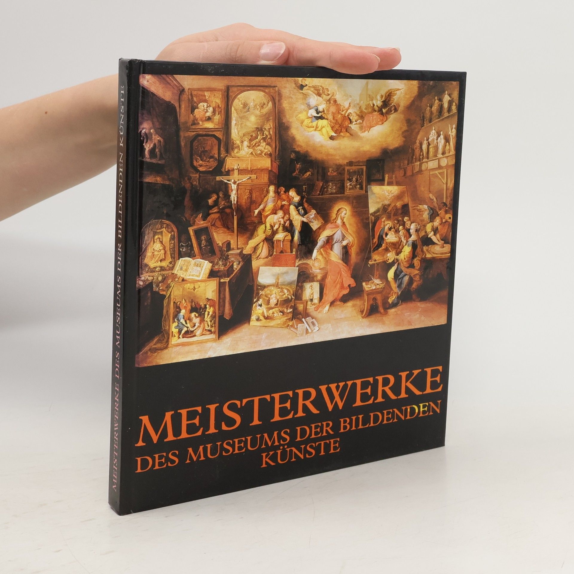 Autorenkollektiv Meisterwerke des Museums der Bildenden Künste