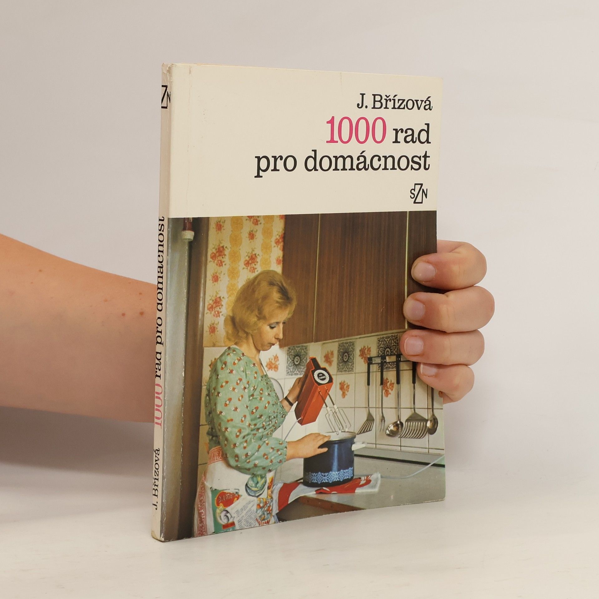 Joza Břízová 100 rad pro domácnost