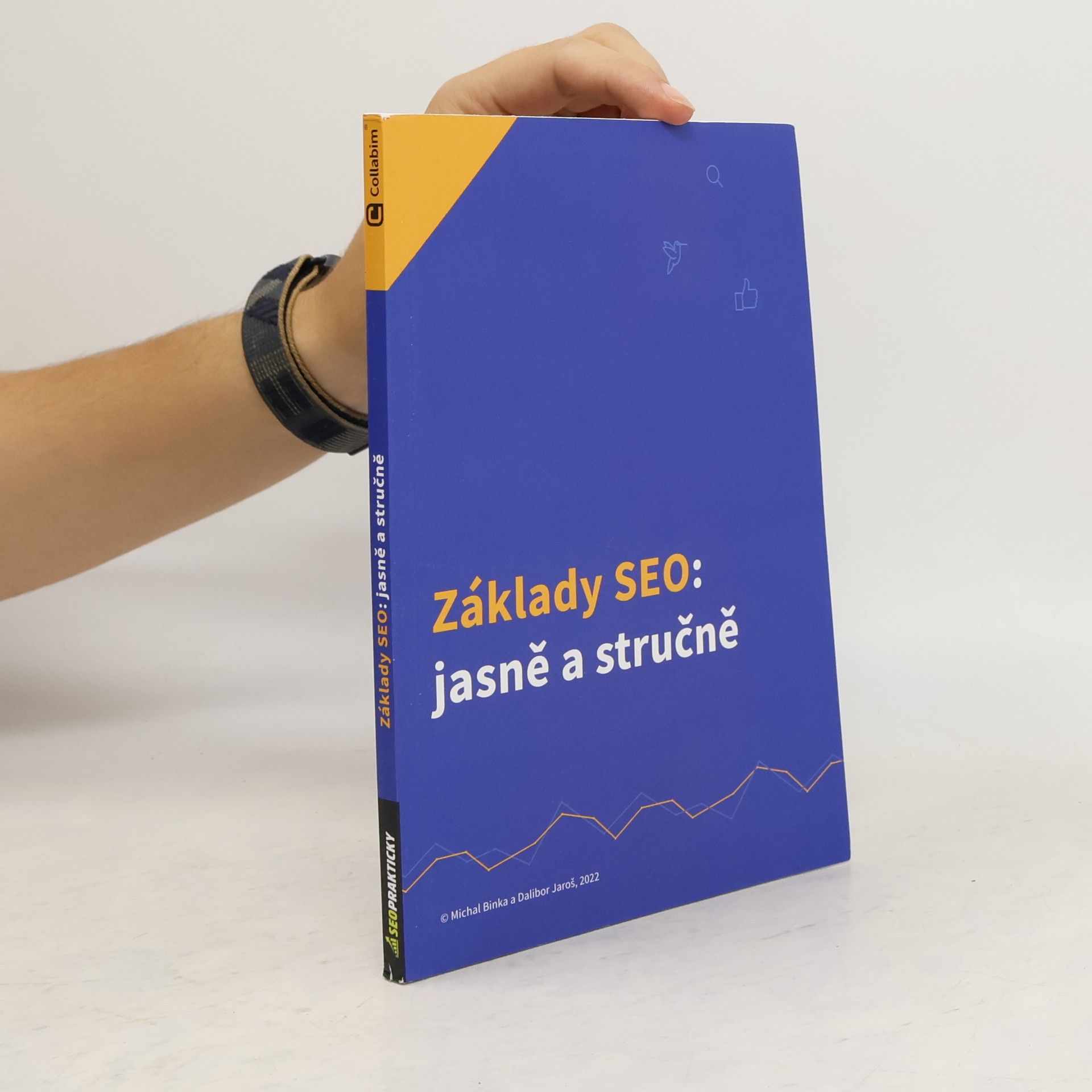 Michal Binka Základy SEO: jasně a stručně