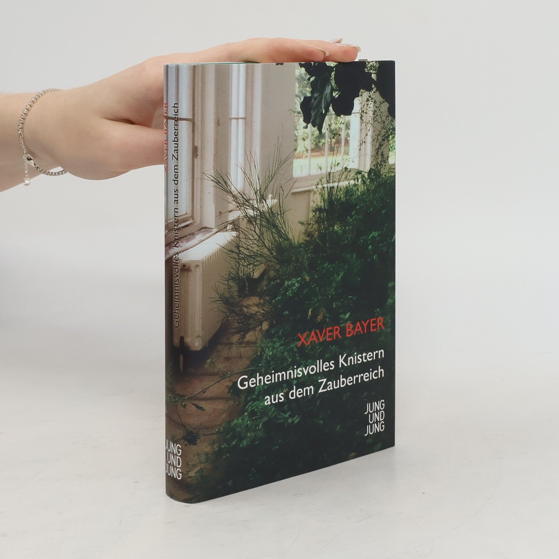 Xaver Bayer Geheimnisvolles Knistern aus dem Zauberreich