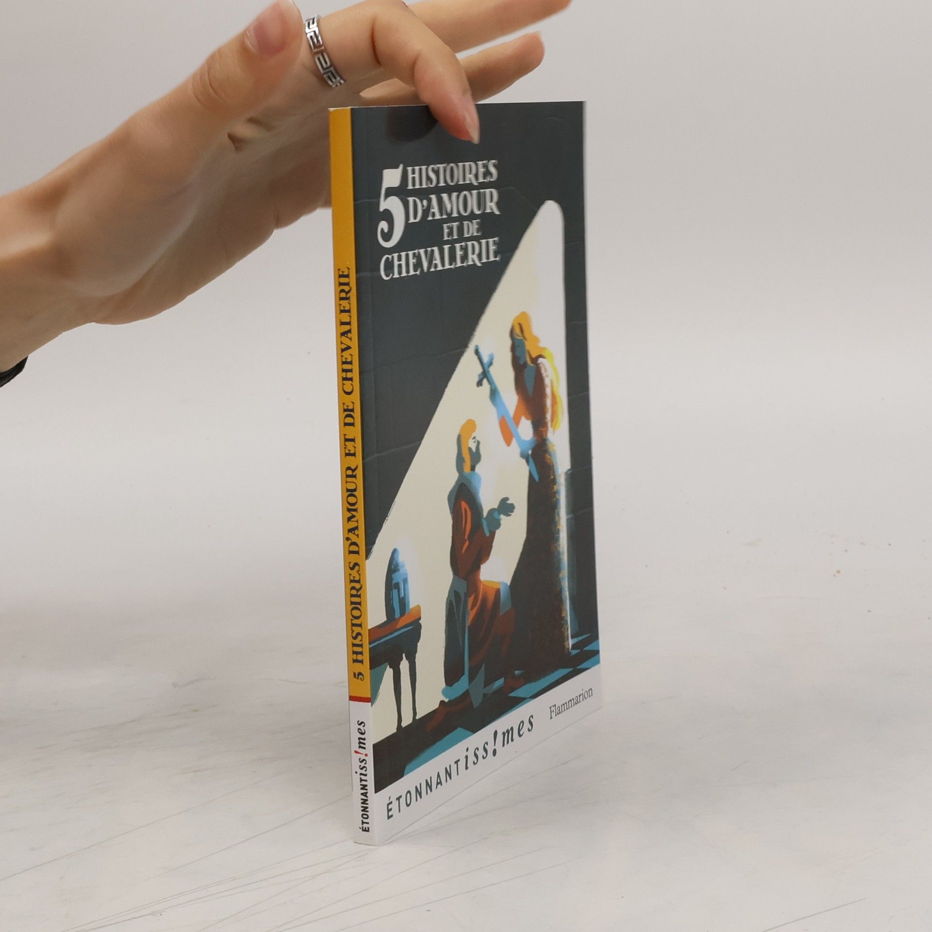 Collectif d'auteurs Cinq histoires d'amour et de chevalerie