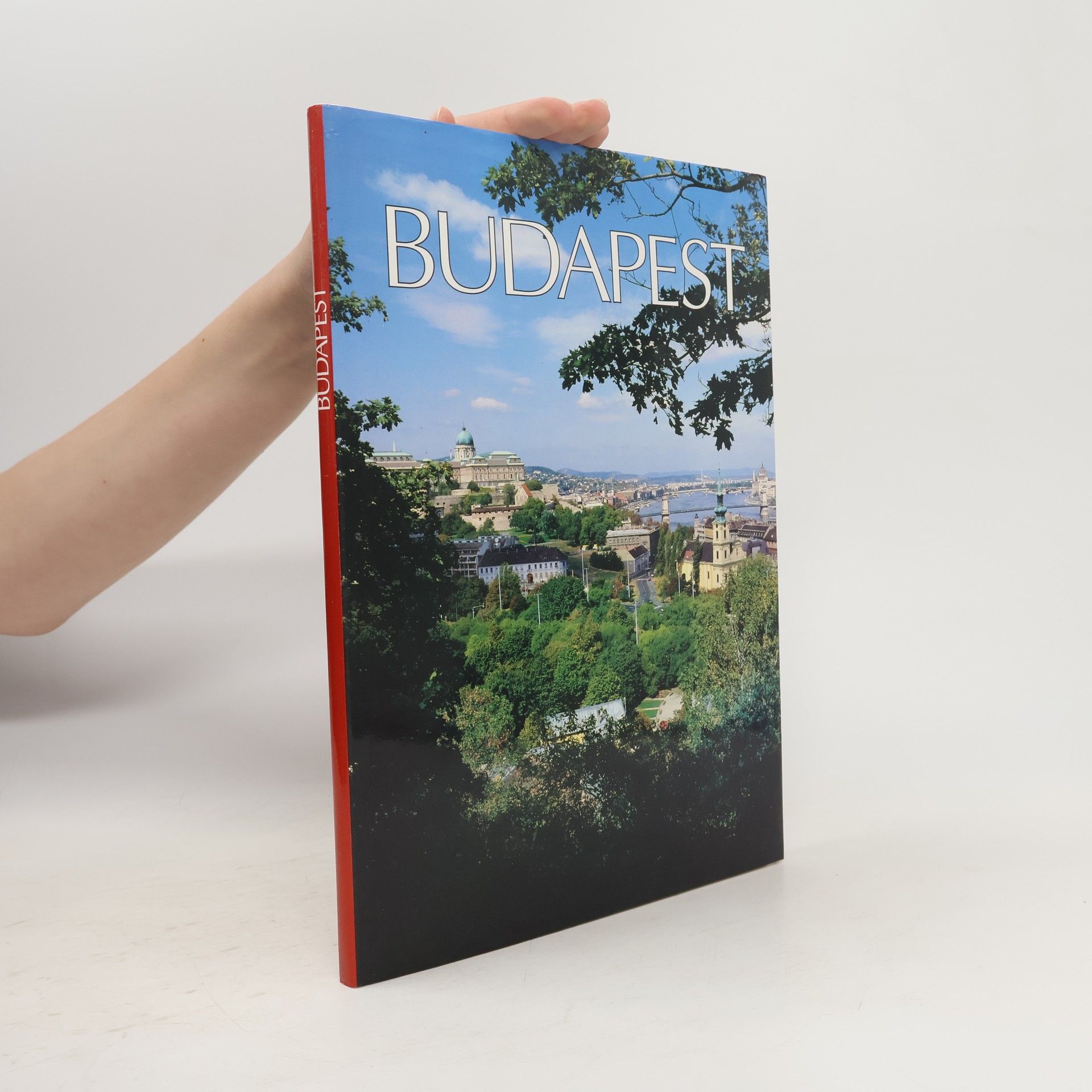 Collectif d'auteurs Budapest