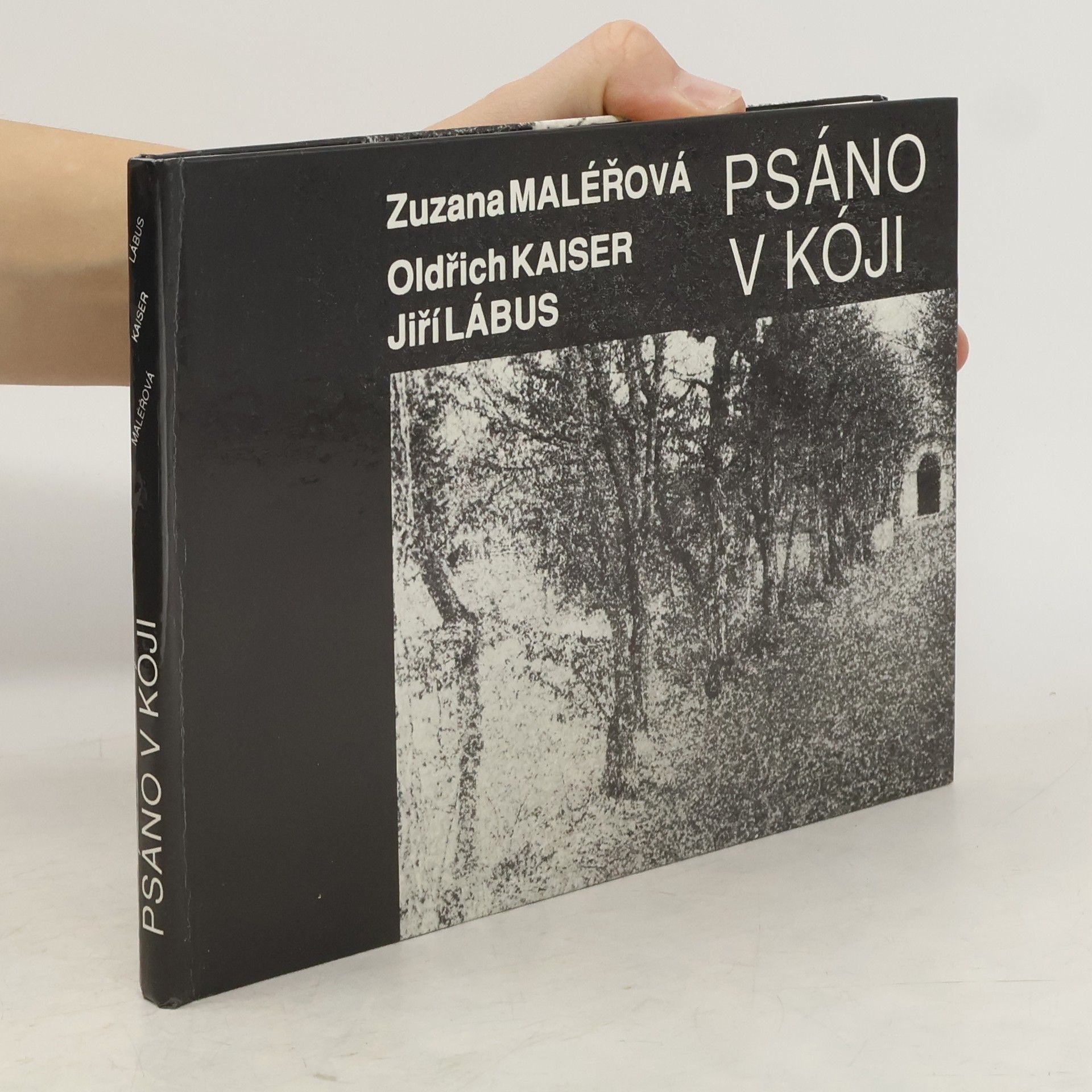 Zuzana Maléřová Psáno v kóji