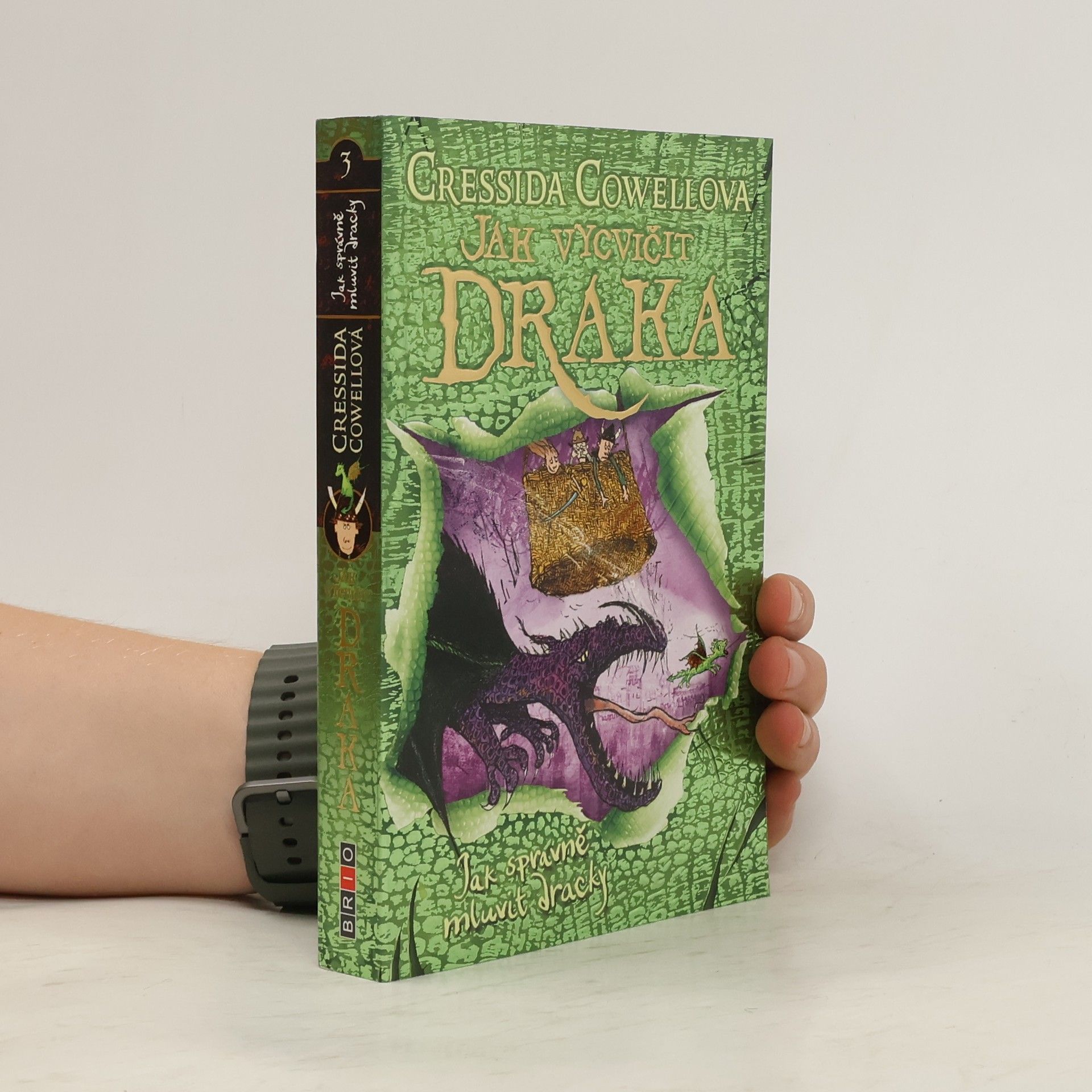 Cressida Cowell Jak správně mluvit dracky