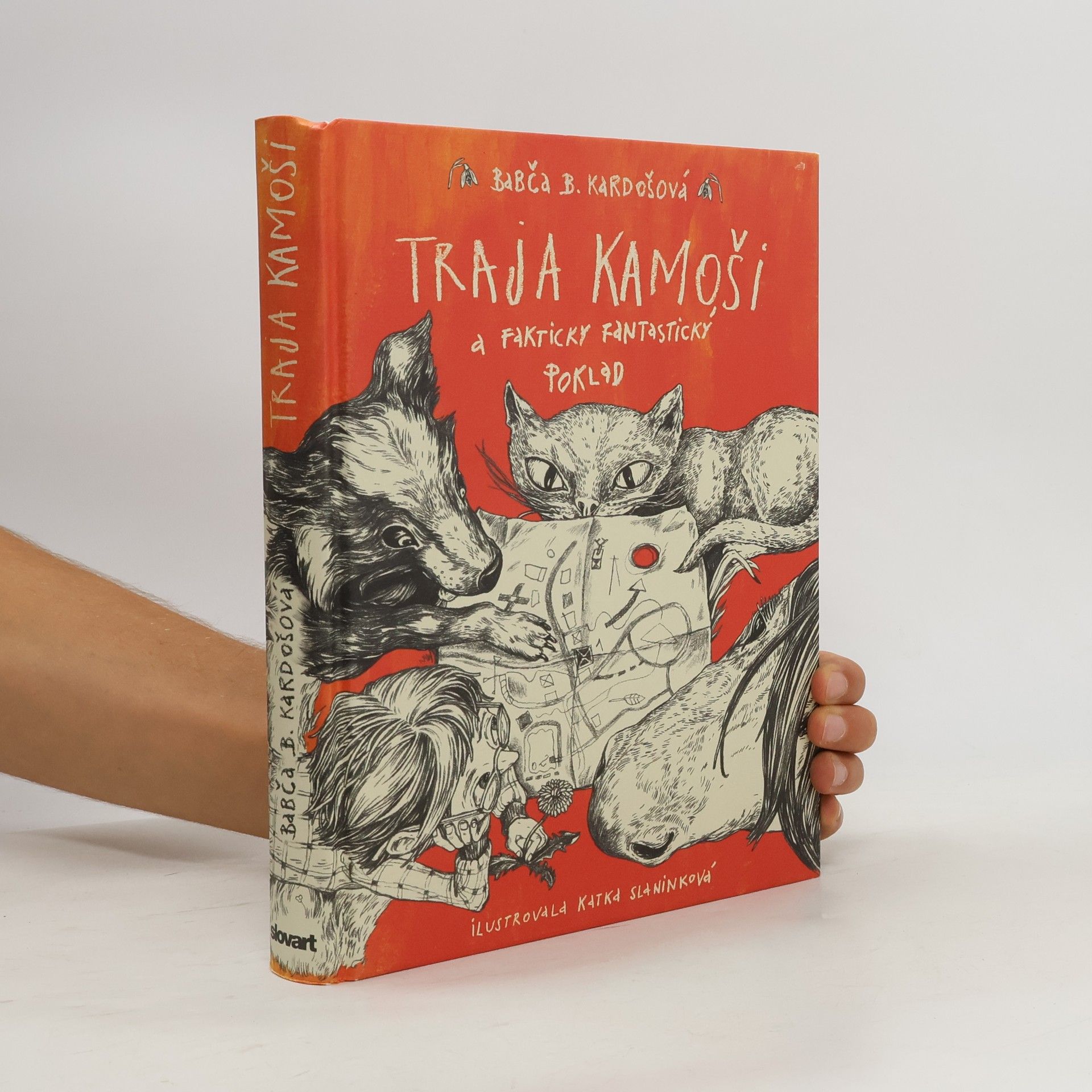 Barbora Kardošová Traja kamoši a fakticky fantastický poklad