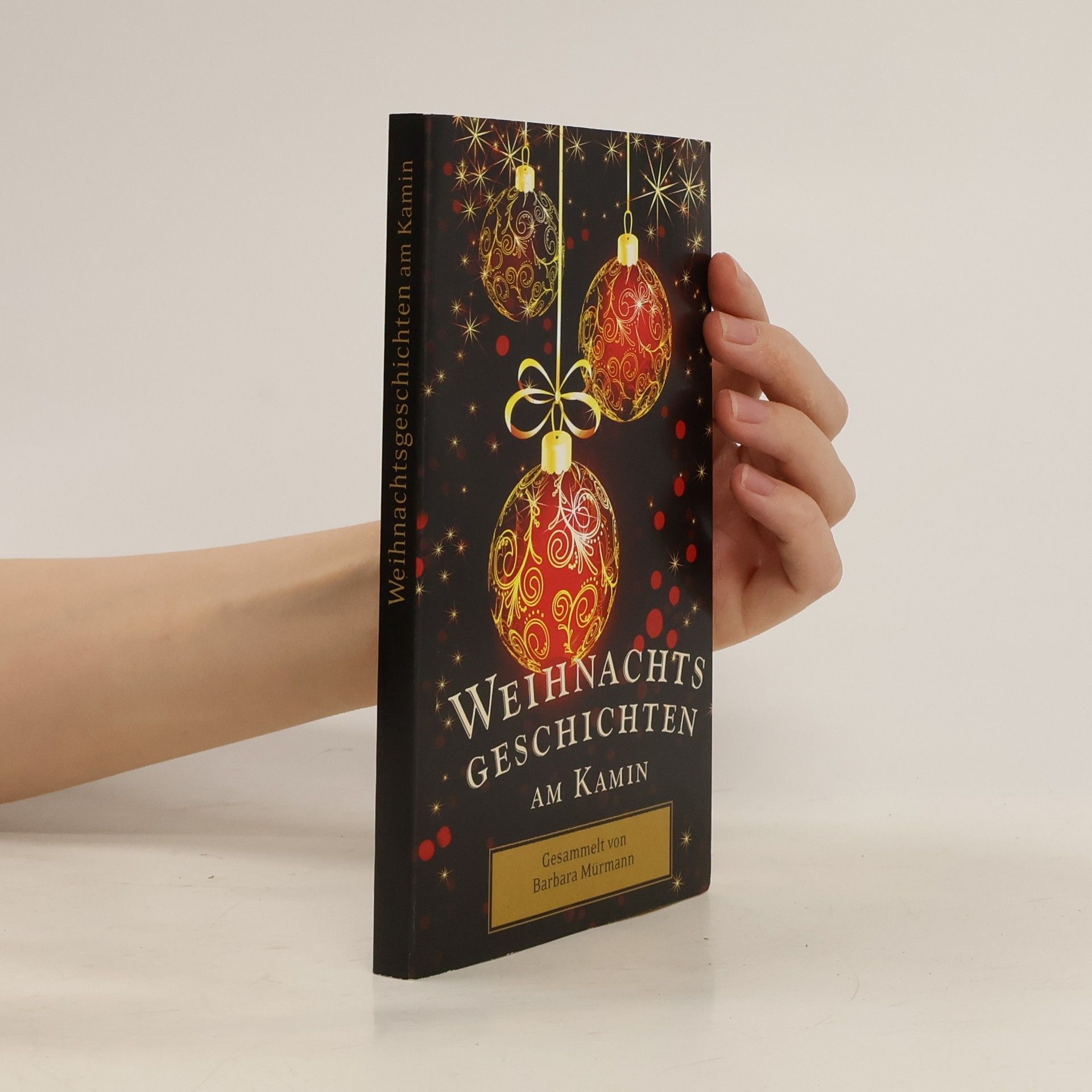 Collectif d'auteurs Weihnachtsgeschichten am Kamin