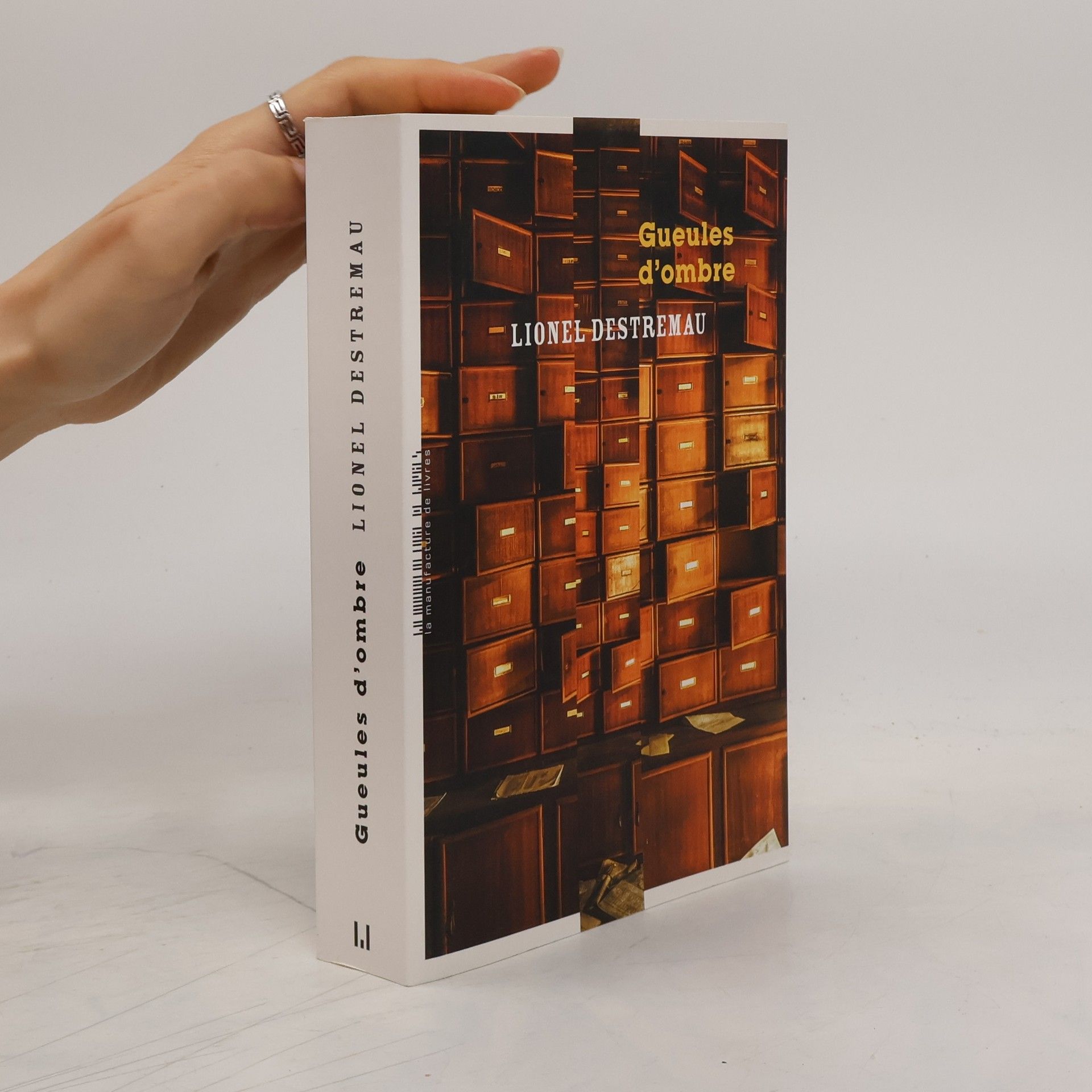 Lionel Destremau Gueules d'ombre