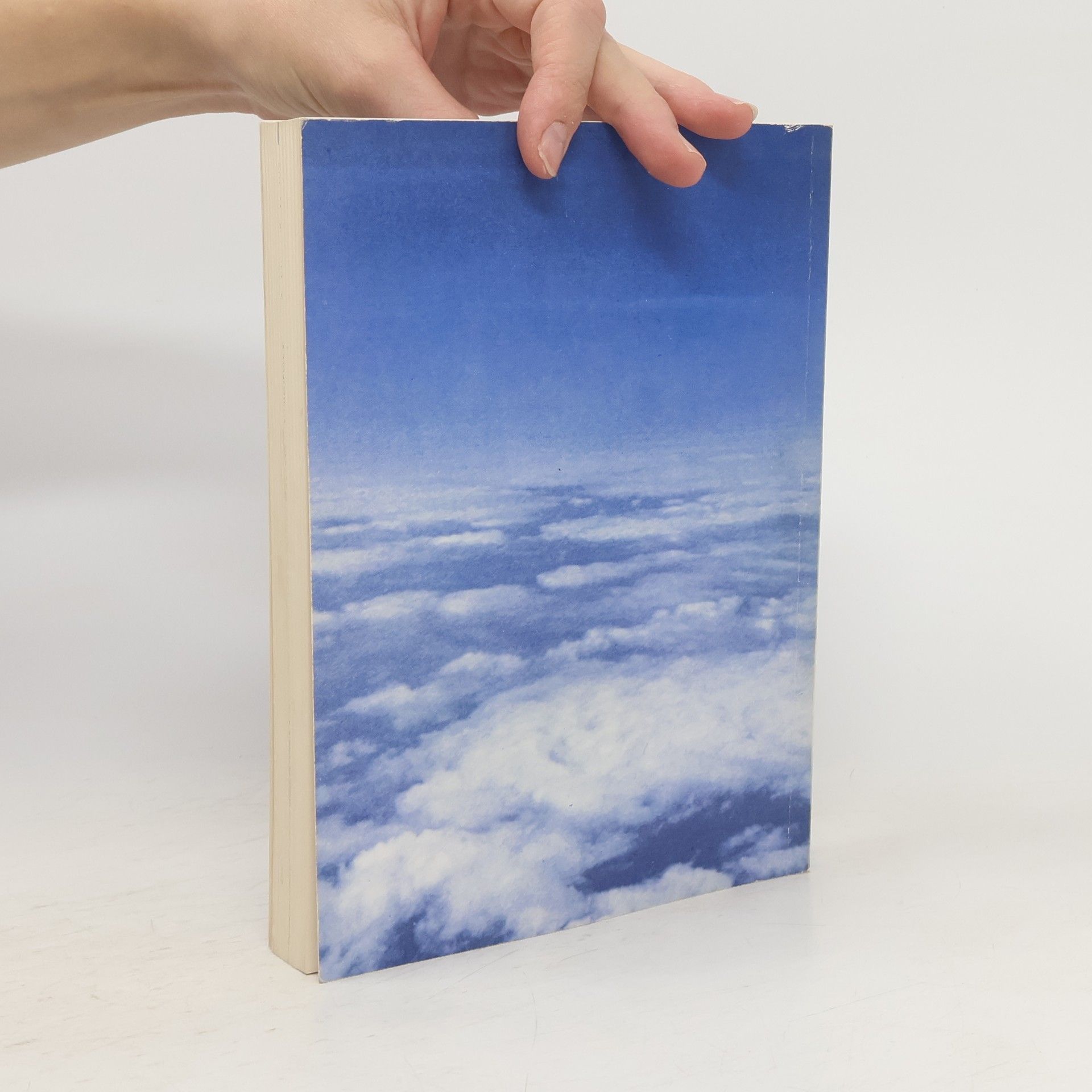 kolektiv Das Gerling-Handbuch für Luftfahrer