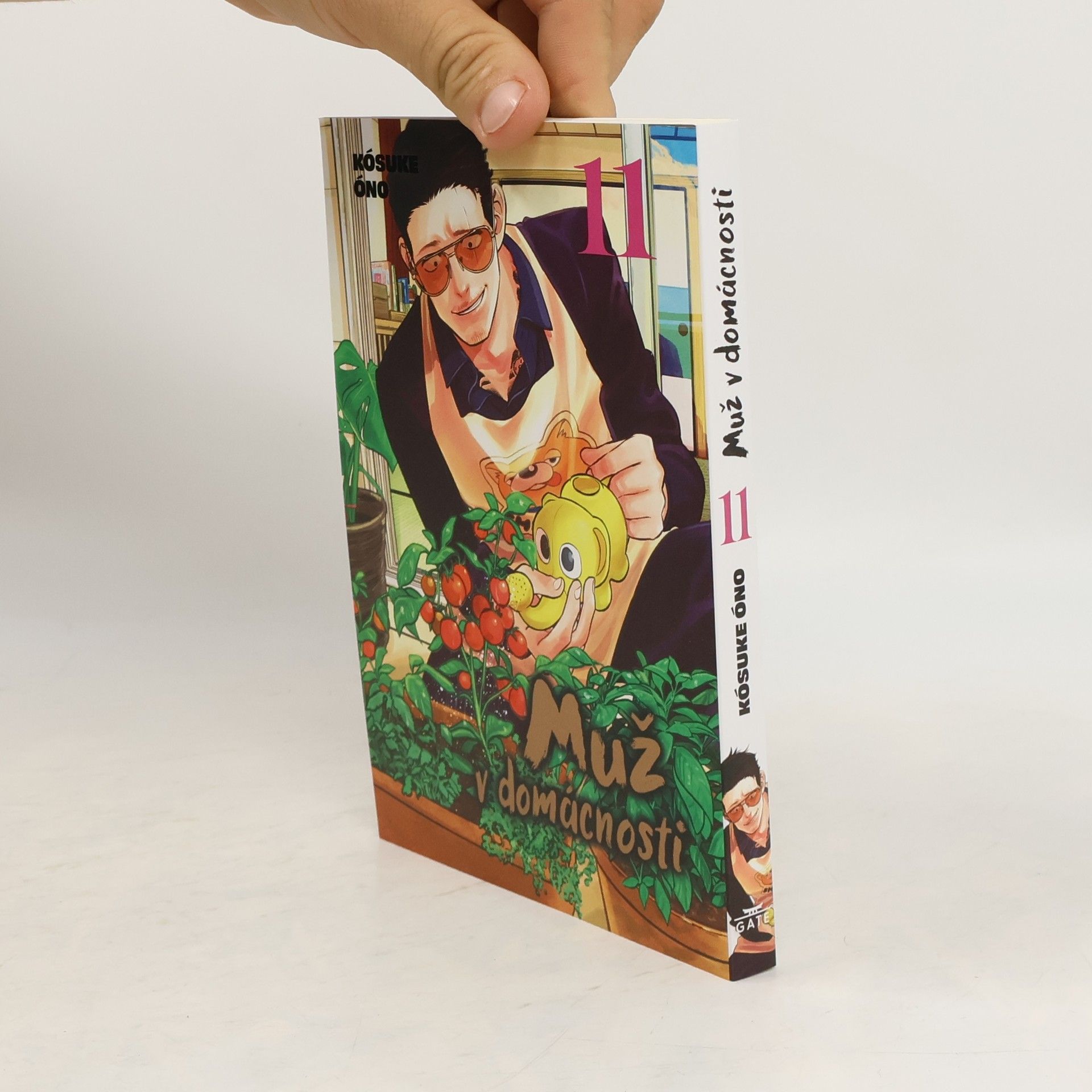 Kousuke Oono Muž v domácnosti 11