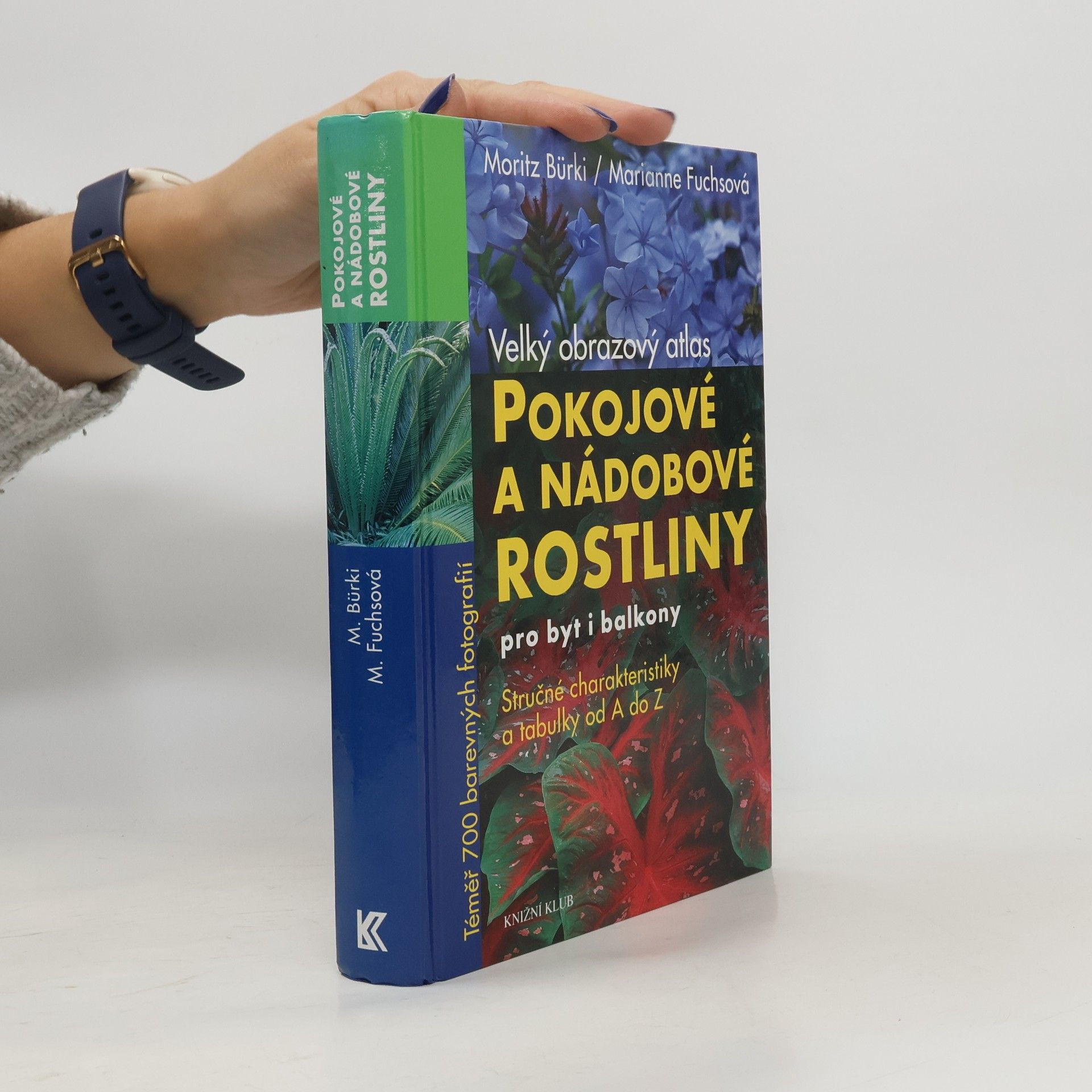 Moritz Bürki Pokojové a nádobové rostliny pro byt i balkony : velký obrazový atlas