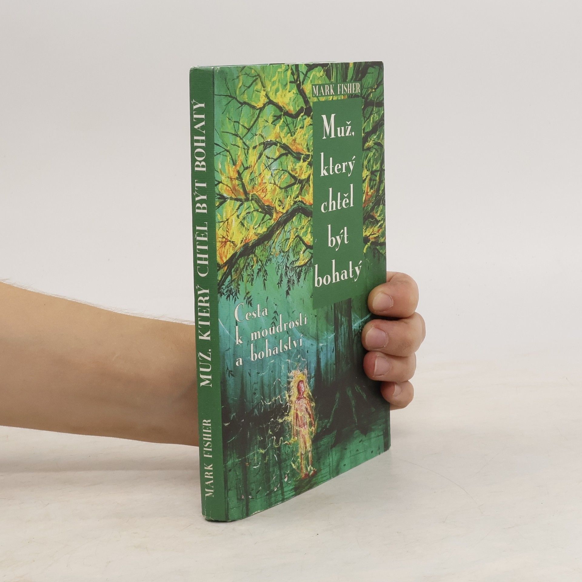 Mark Fisher Muž, který chtěl být bohatý