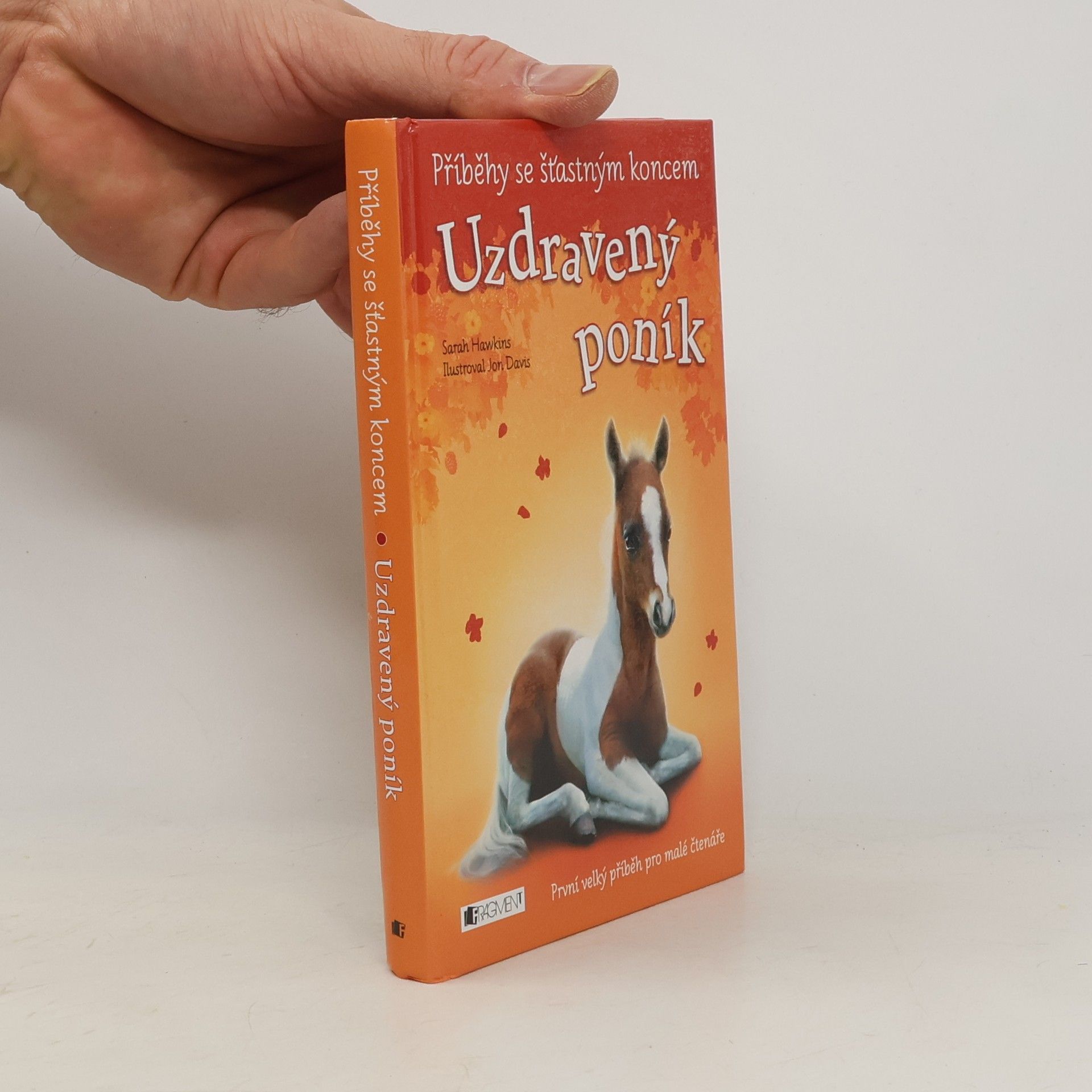 Eva Brožová Uzdravený poník