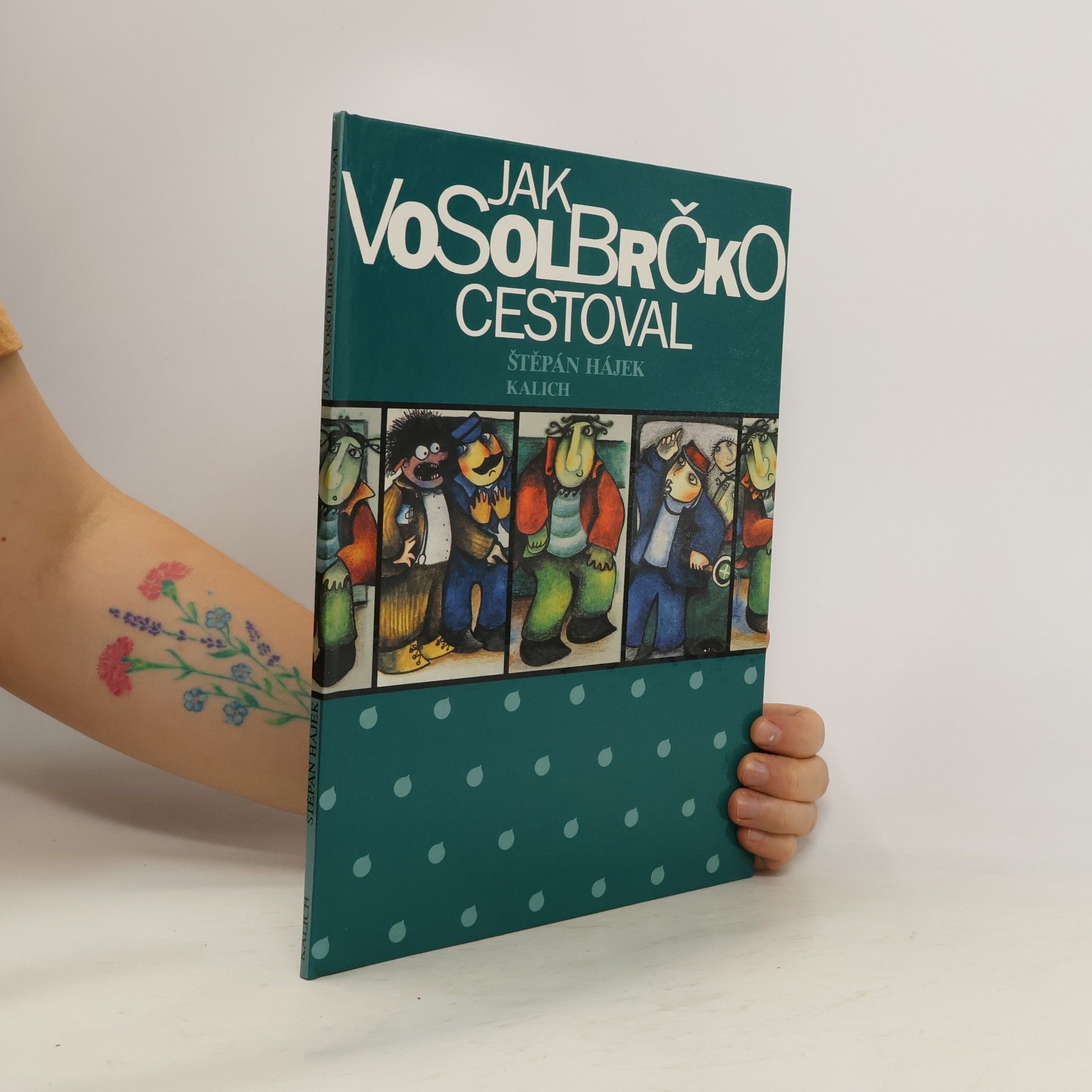 Jak Vosolbrčko cestoval