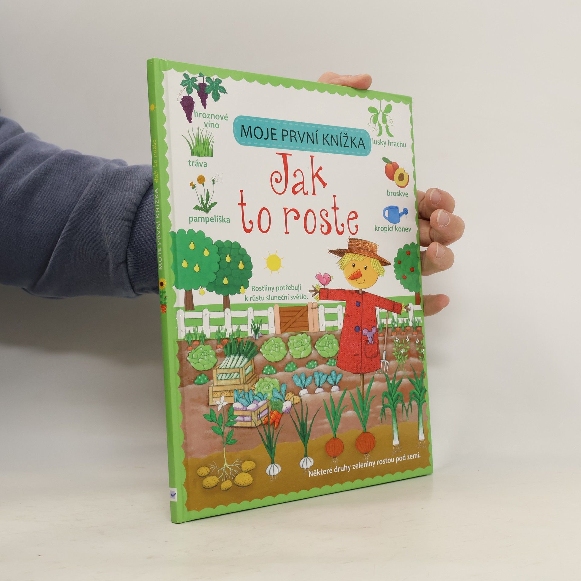 Felicity Brooks Moje první knížka. Jak to roste