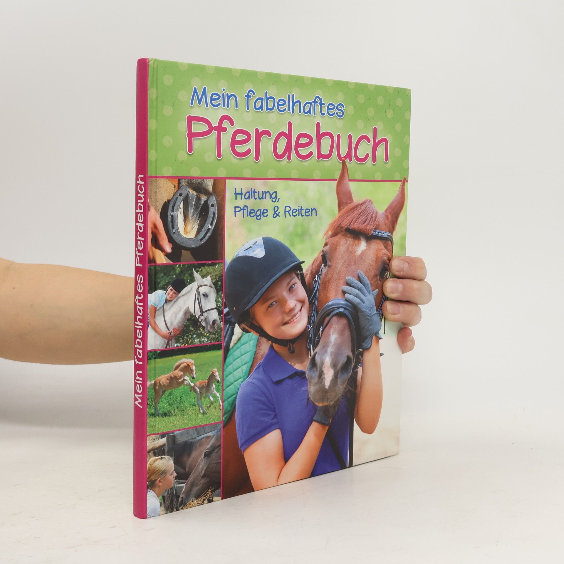 Autorenkollektiv Mein fabelhaftes Pferdebuch