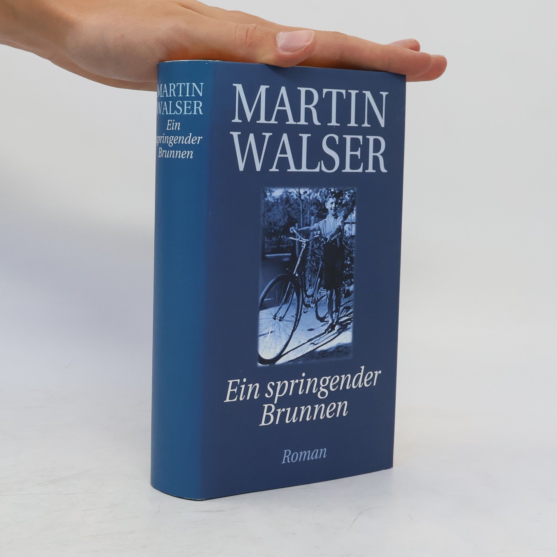 Martin Walser Ein springender Brunnen