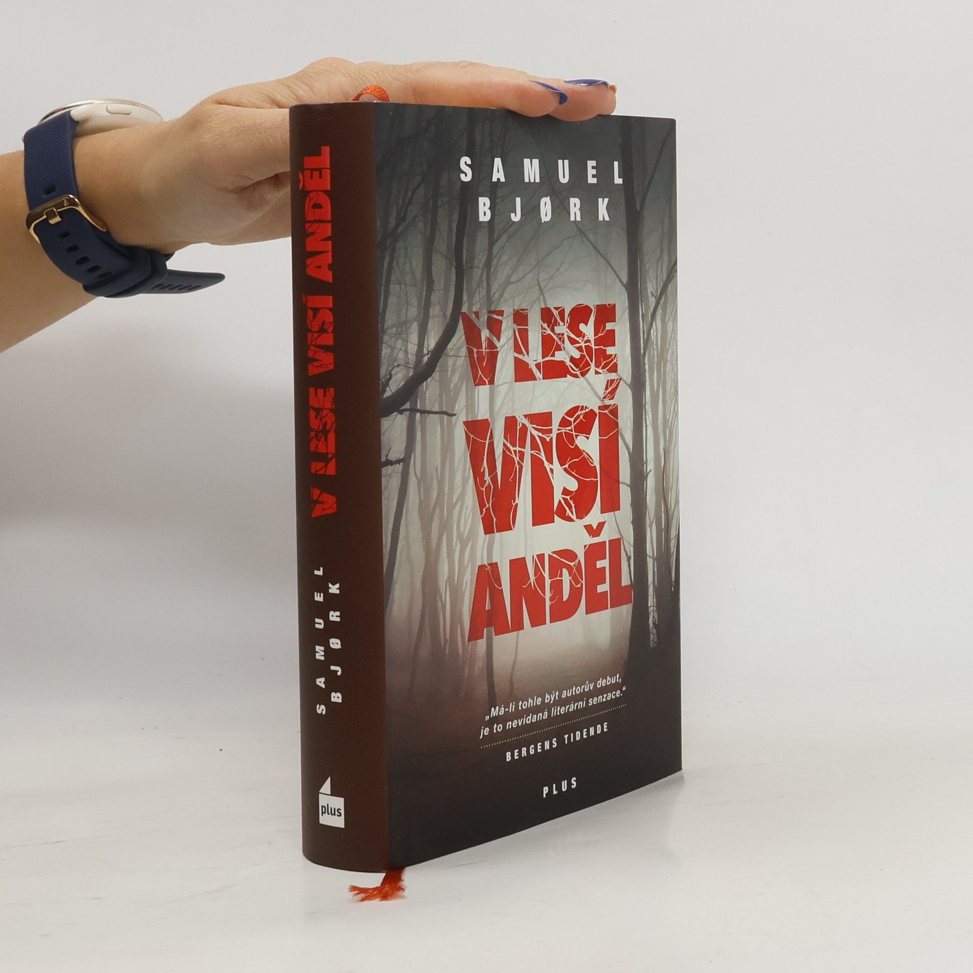 Samuel Bjork V lese visí anděl