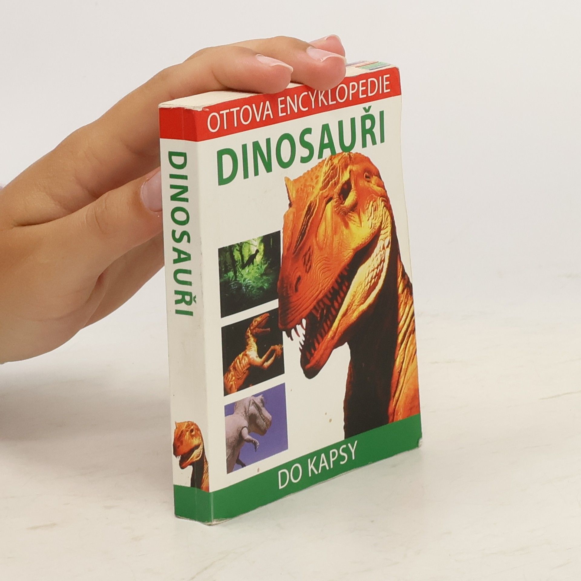 Dinosauři