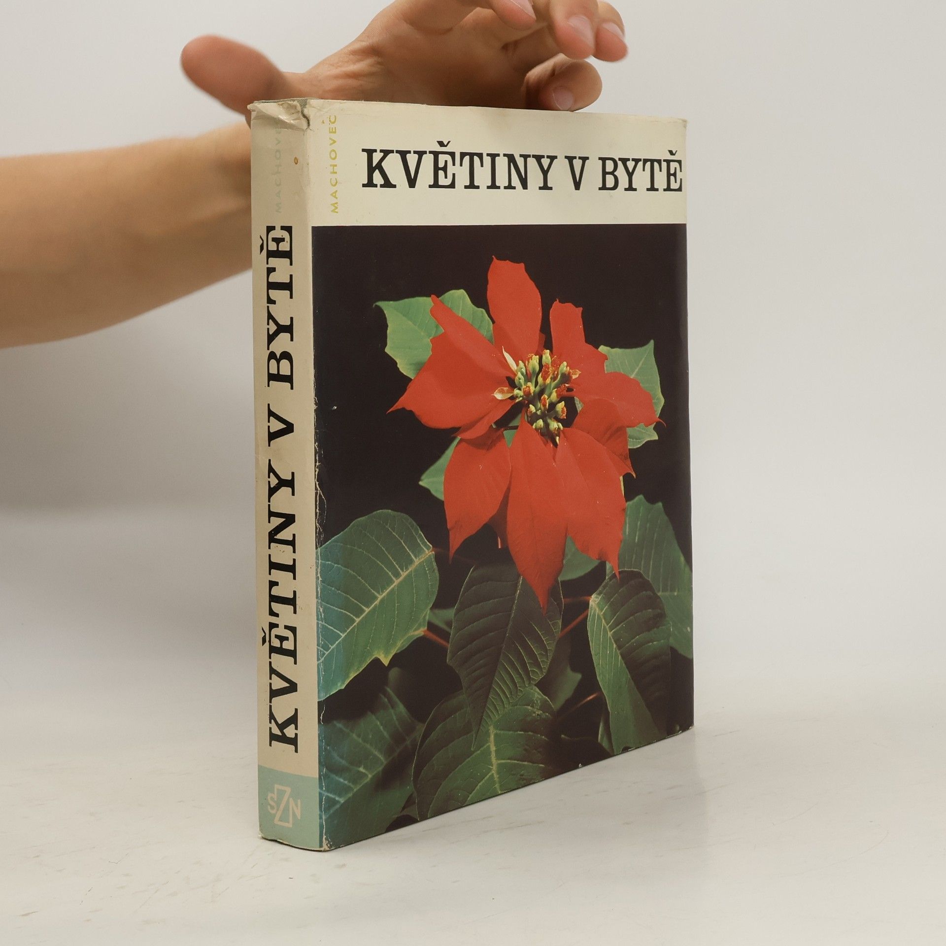 Jaroslav Machovec Květiny v bytě