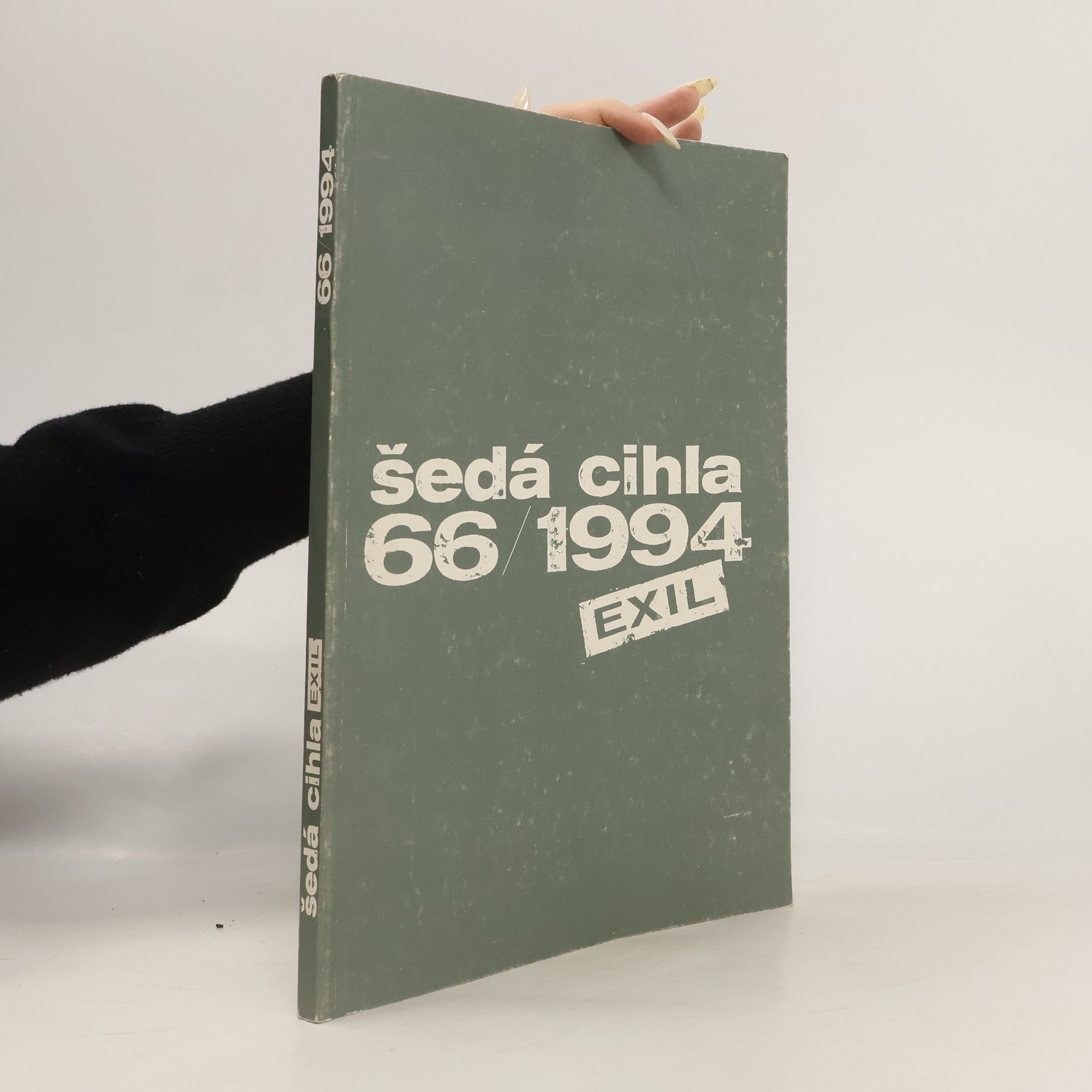 Jiří Šetlík Šedá cihla 66