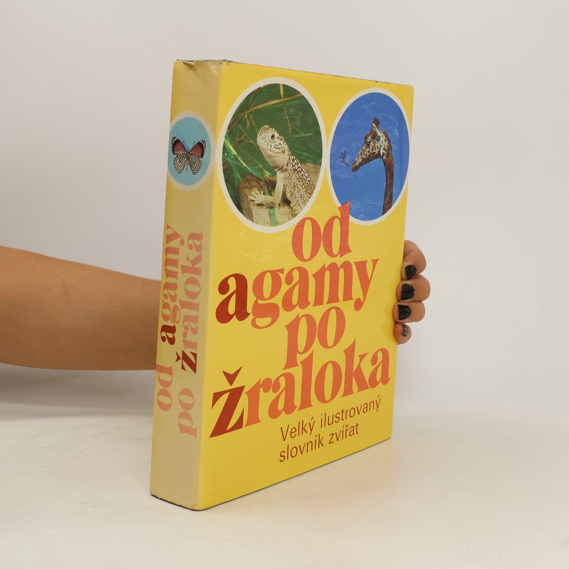 Various authors Od agamy po žraloka. Velký ilustrovaný slovník zvířat