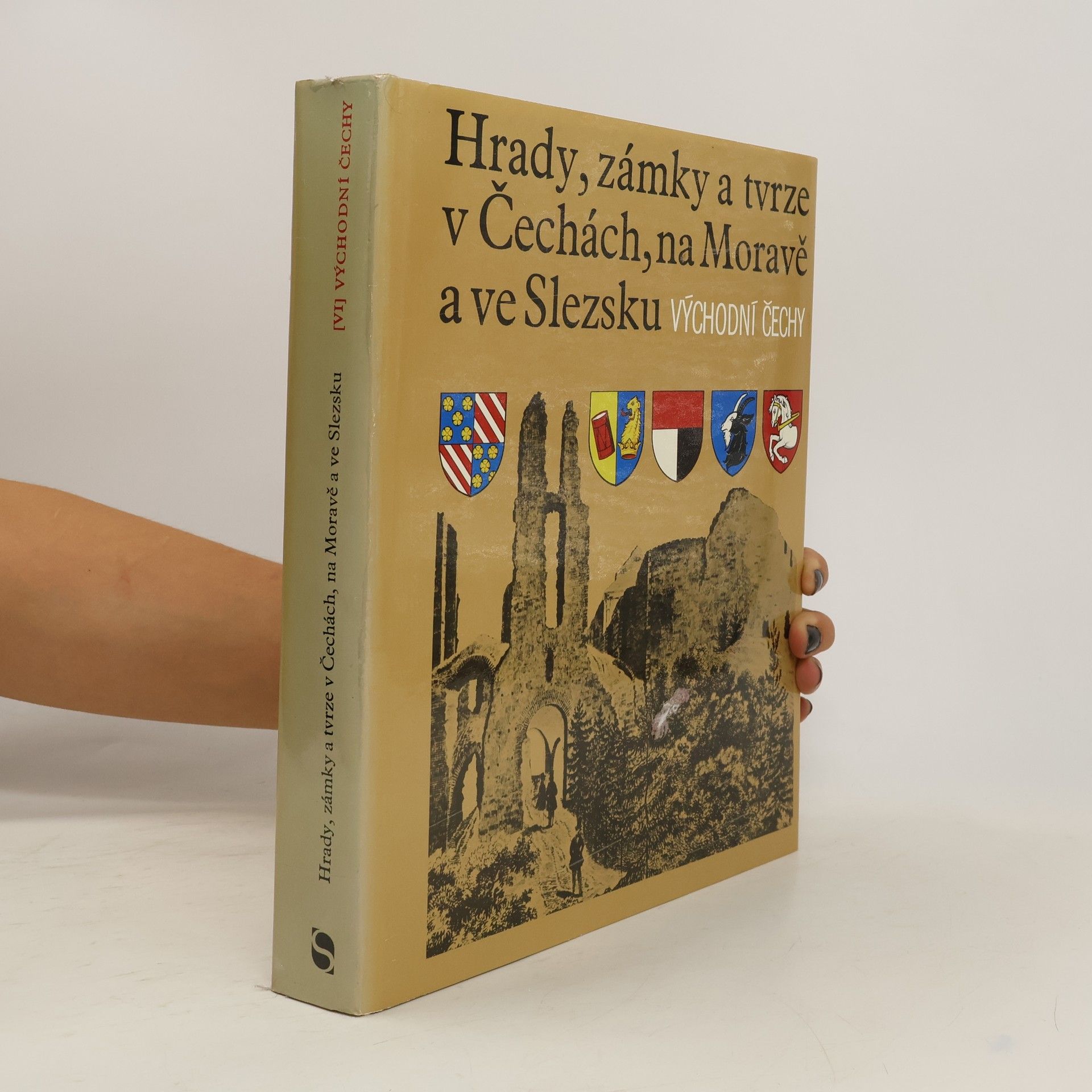 AA.VV. Hrady, zámky a tvrze v Čechách na Moravě a ve Slezsku VI. Východní Čechy