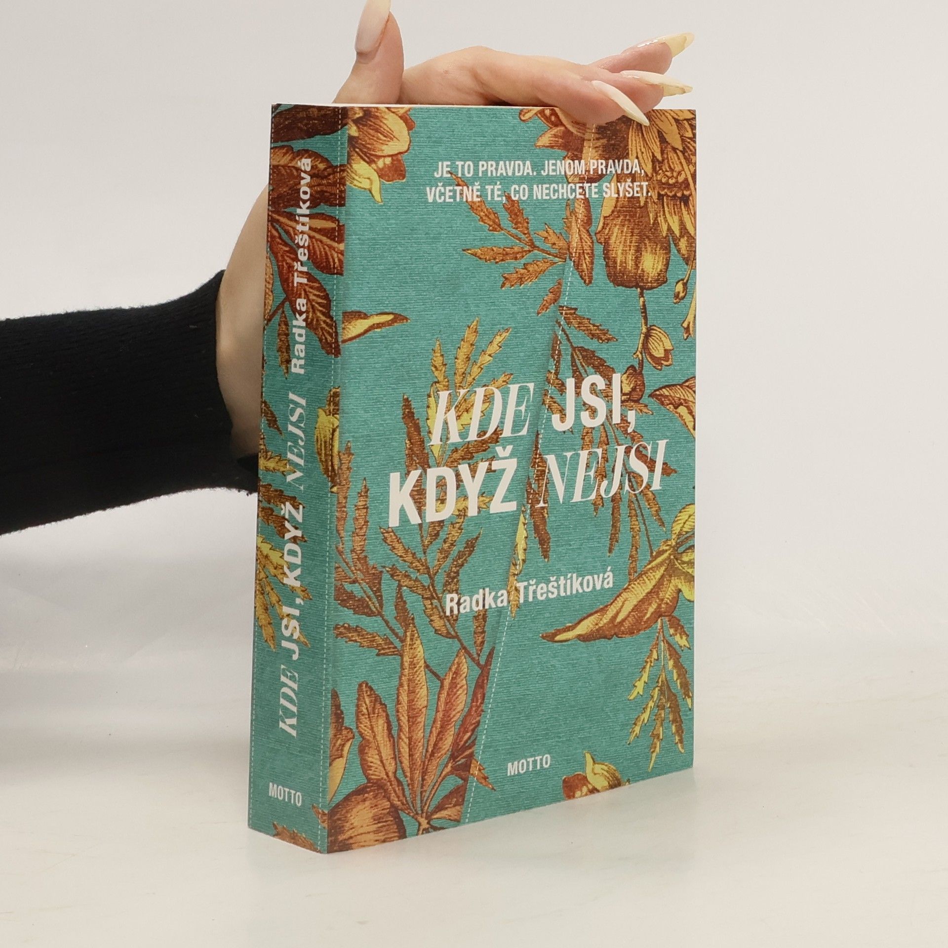 Radka Třeštíková Kde jsi, když nejsi