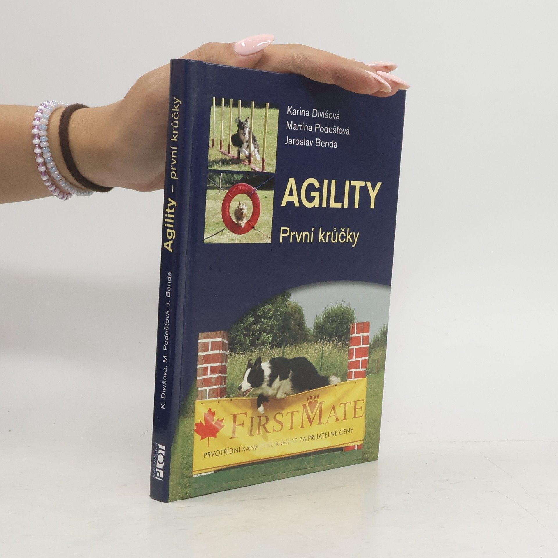 Agility: První krůčky