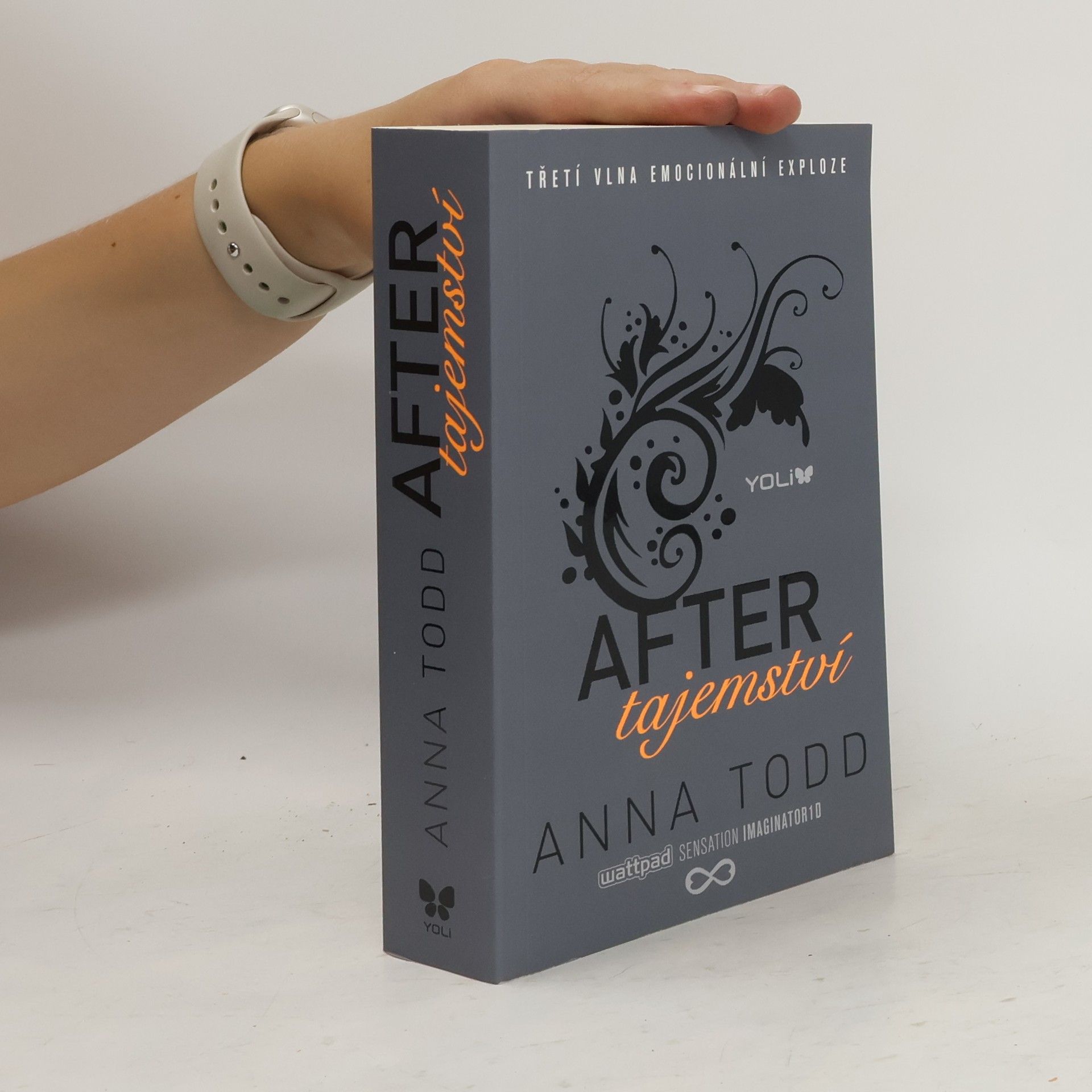 Anna Todd After. Tajemství