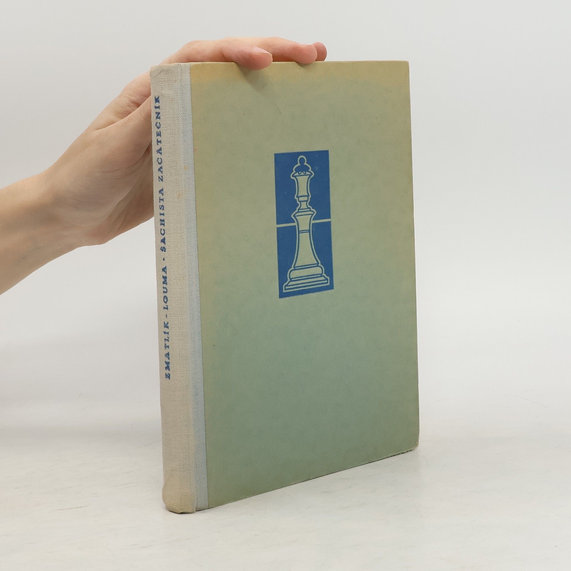 Šachista začátečník