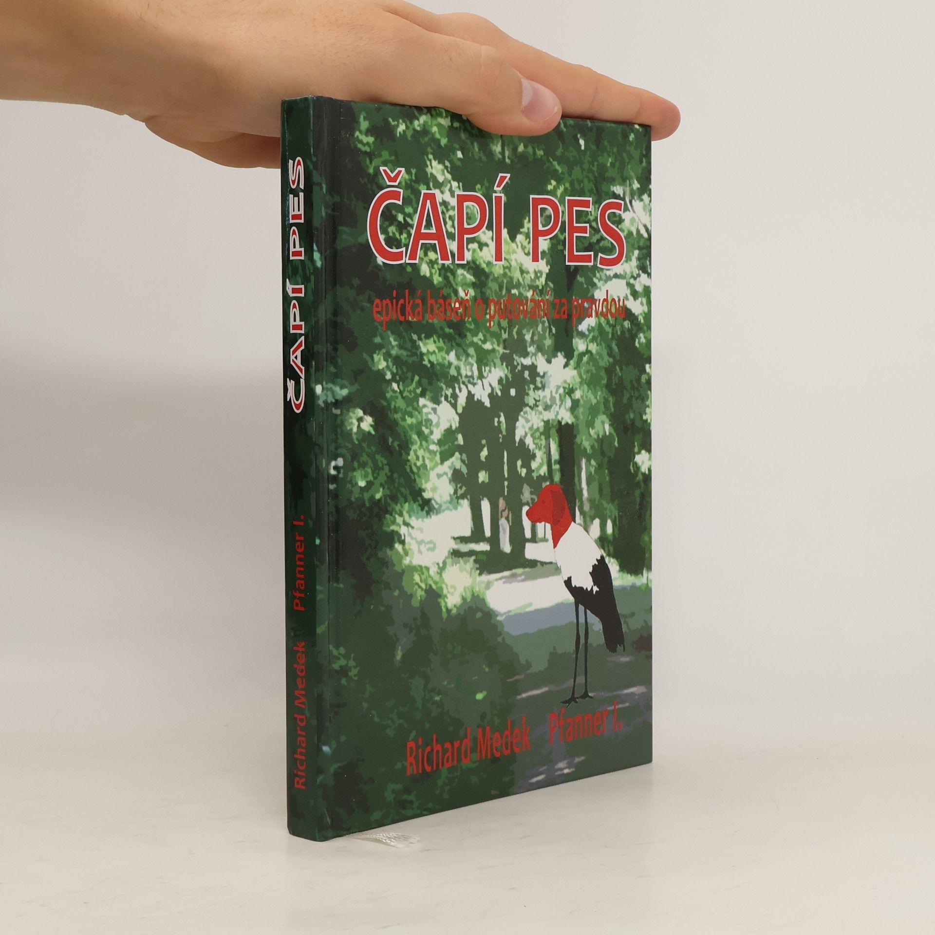 Richard Medek Čapí Pes