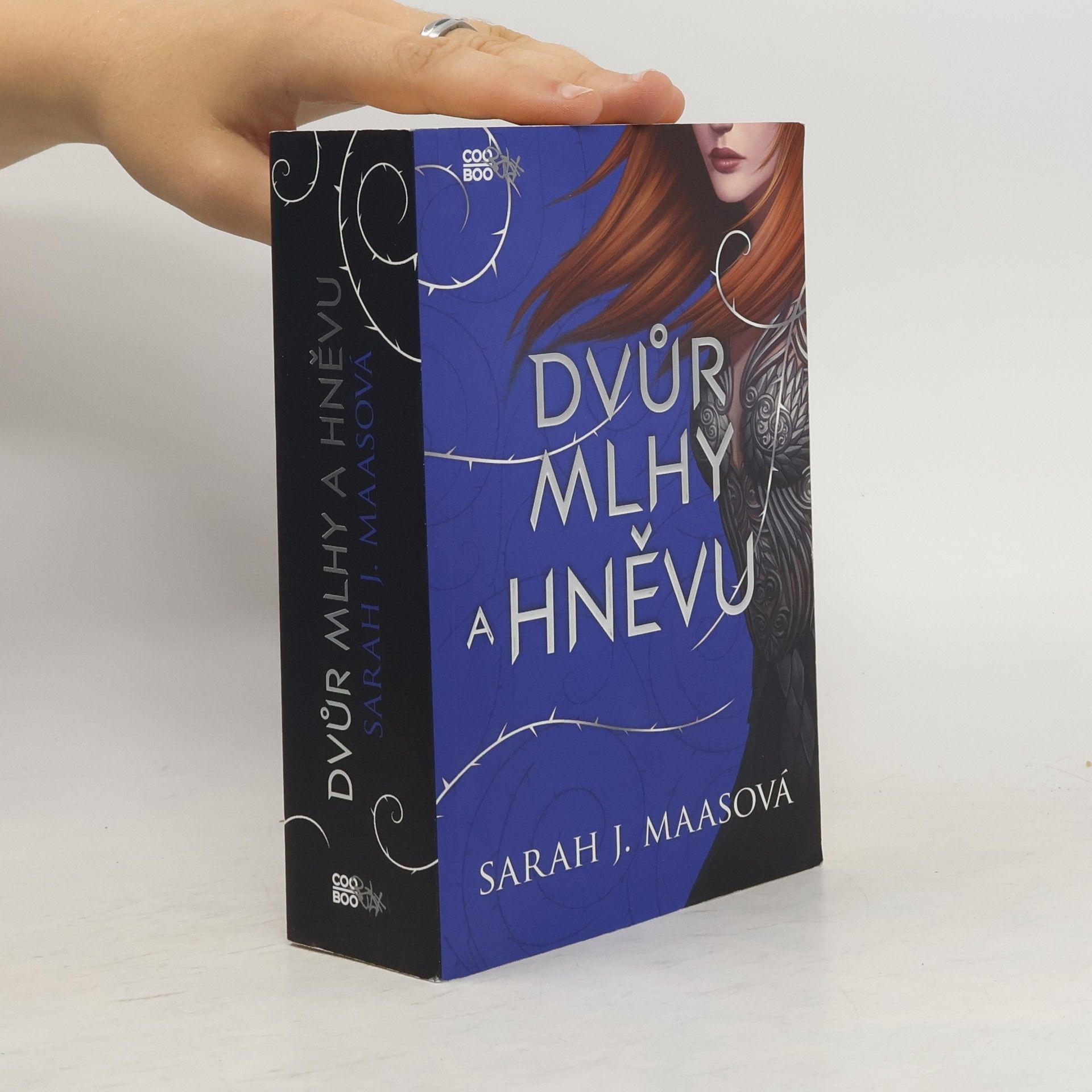 Sarah J. Maas Dvůr mlhy a hněvu
