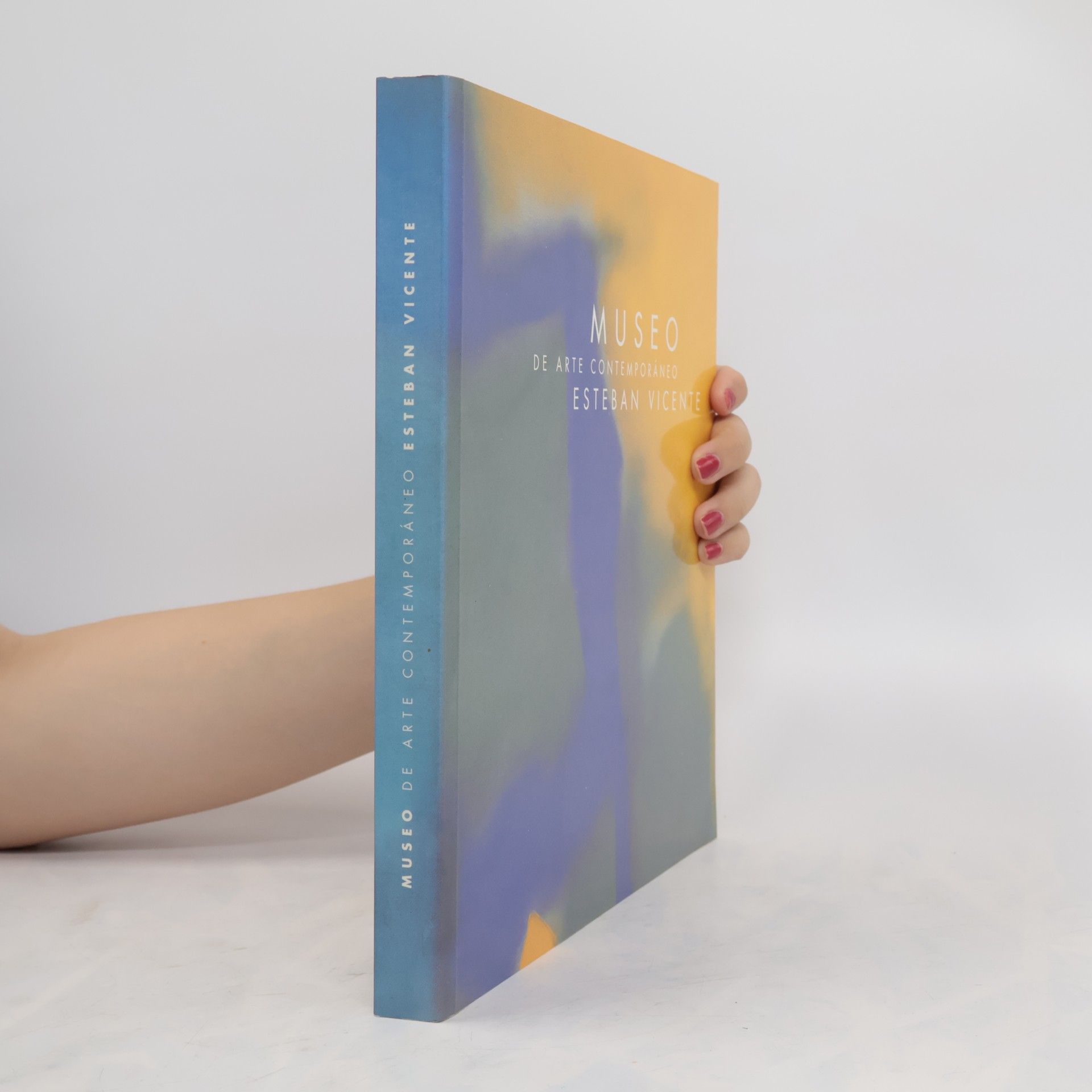 Esteban Vicente Museo de Arte Contemporáneo Esteban Vicente