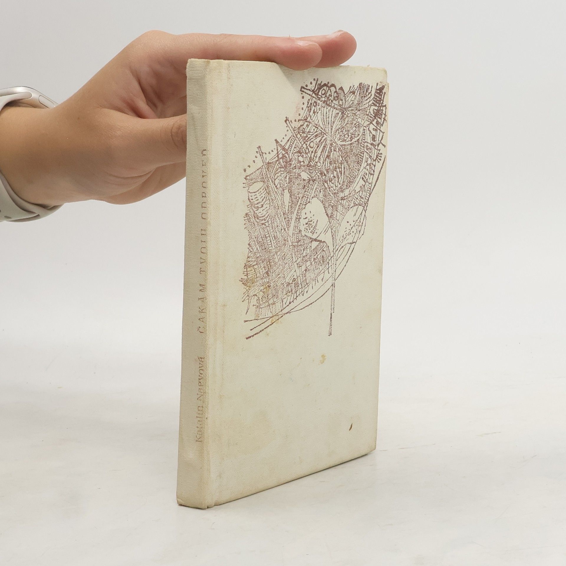 Katalin Nagy Čakám tvoju odpoveď