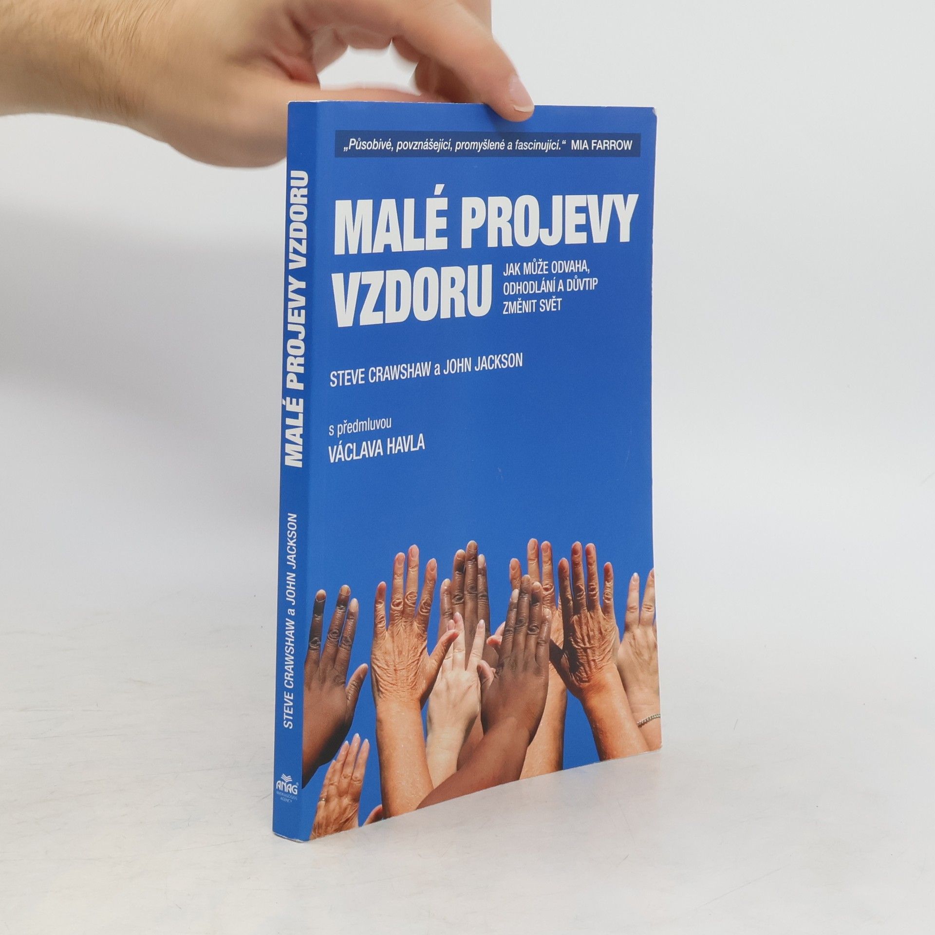 Steve Crawshaw Malé projevy vzdoru : jak může odvaha, odhodlání a důvtip změnit svět