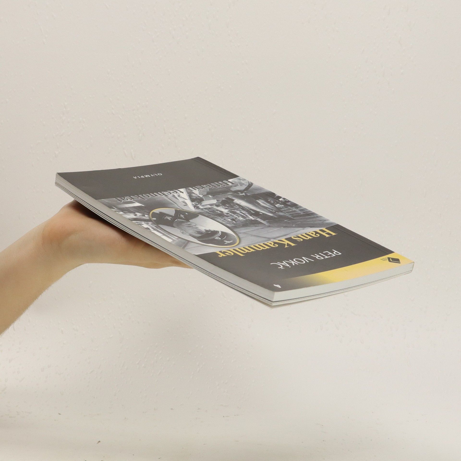 Petr Vokáč Hans Kammler. Hitlerův technokrat