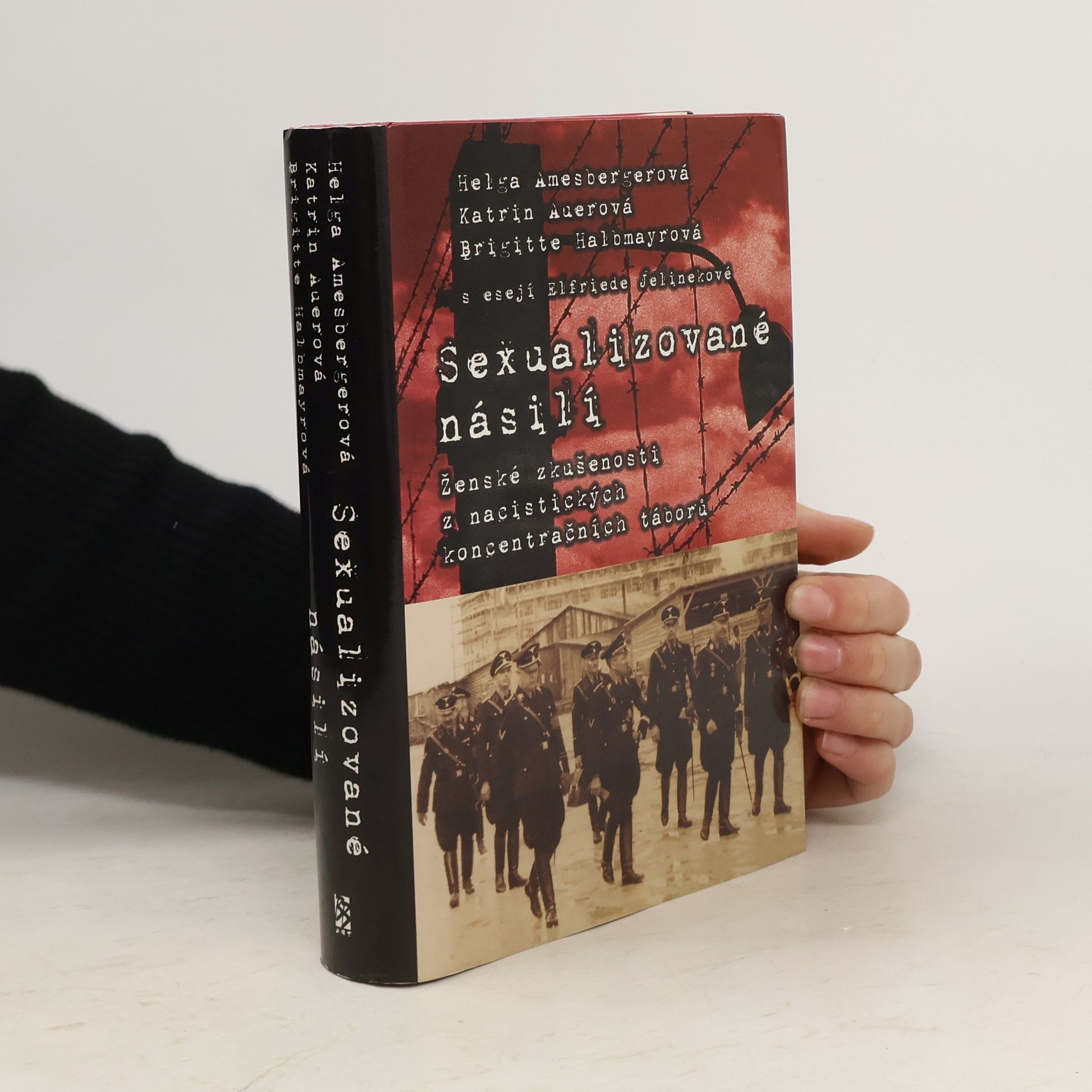 Sexualizované násilí