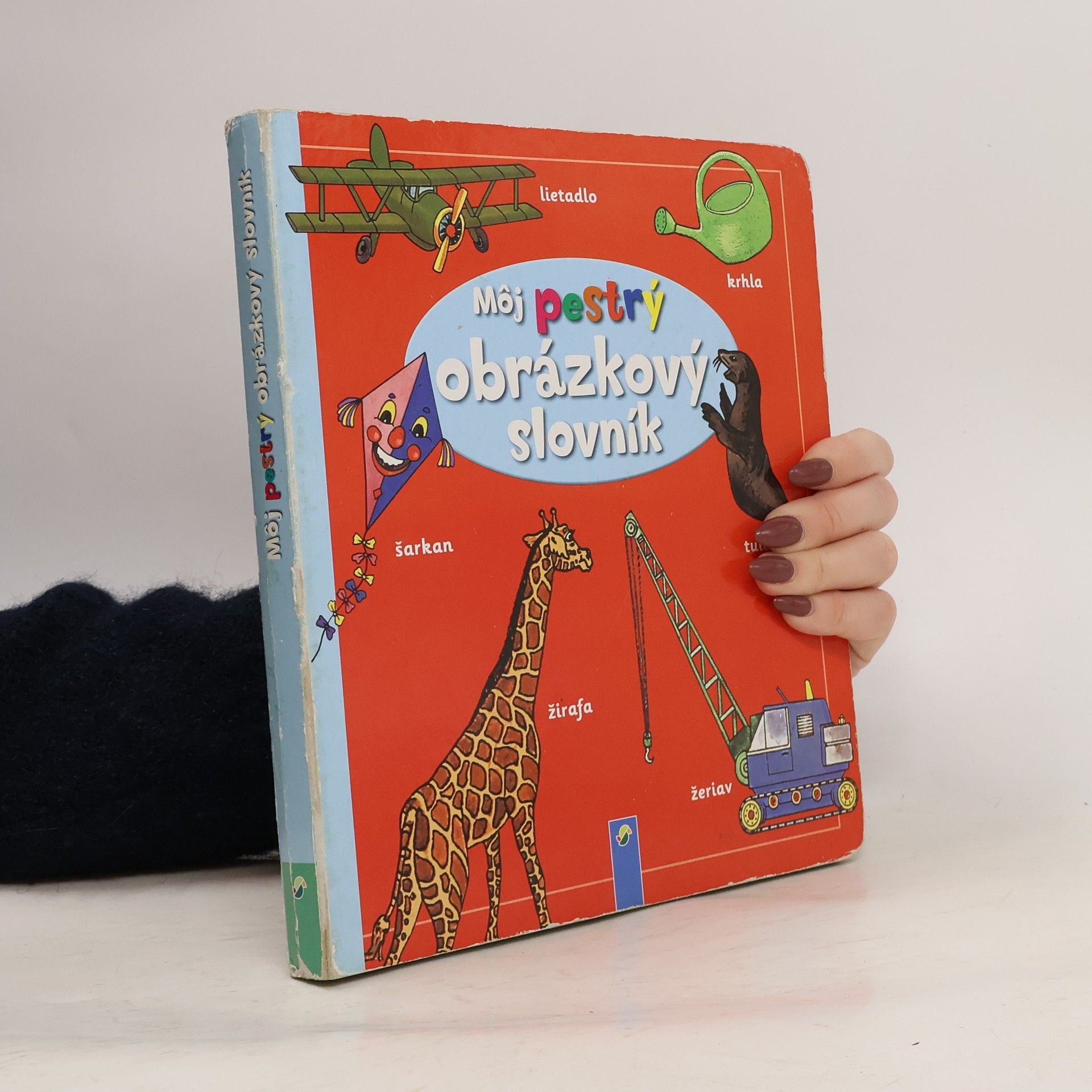 Autorenkollektiv Môj pestrý obrázkový slovník