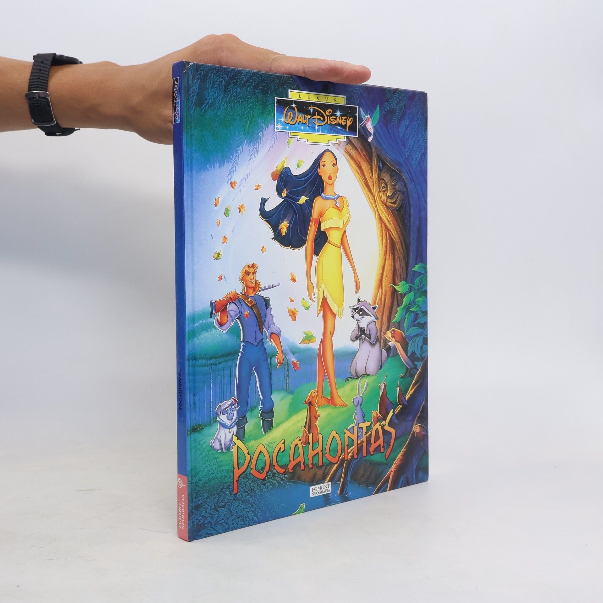 Walt Disney Pocahontas