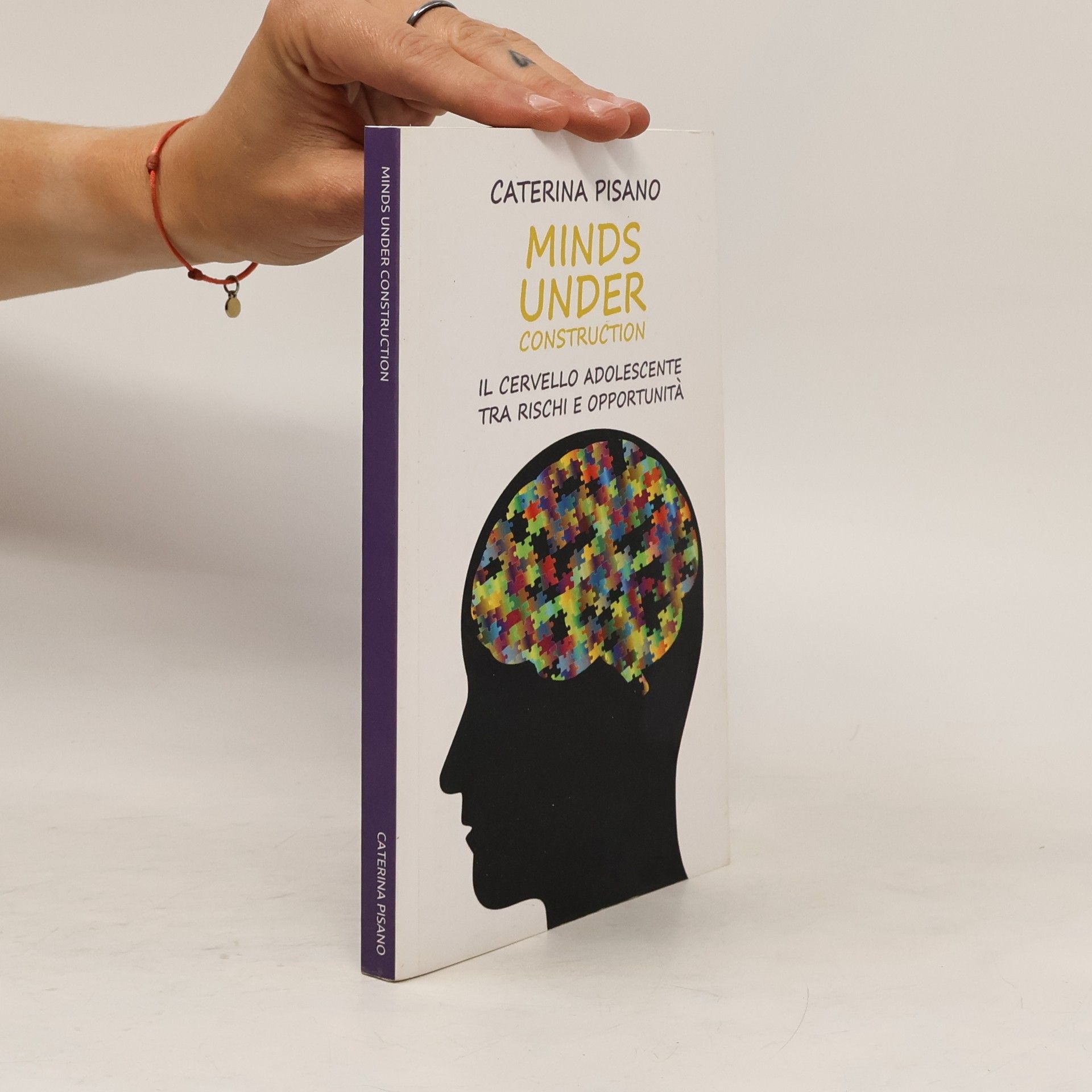 Caterina Pisano Minds Under Construction