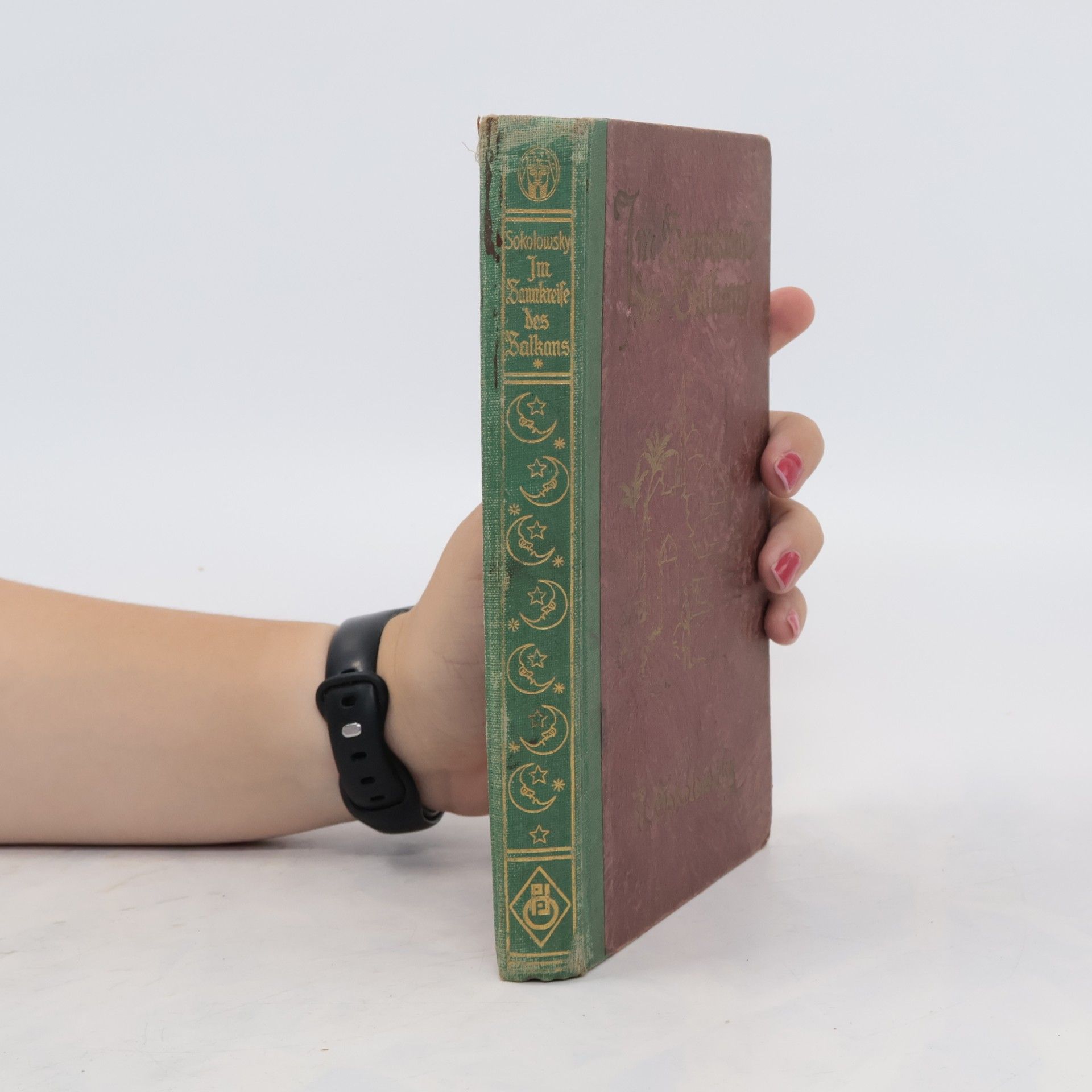 Karl Sokolowsky Im Bannkreise des Balkans
