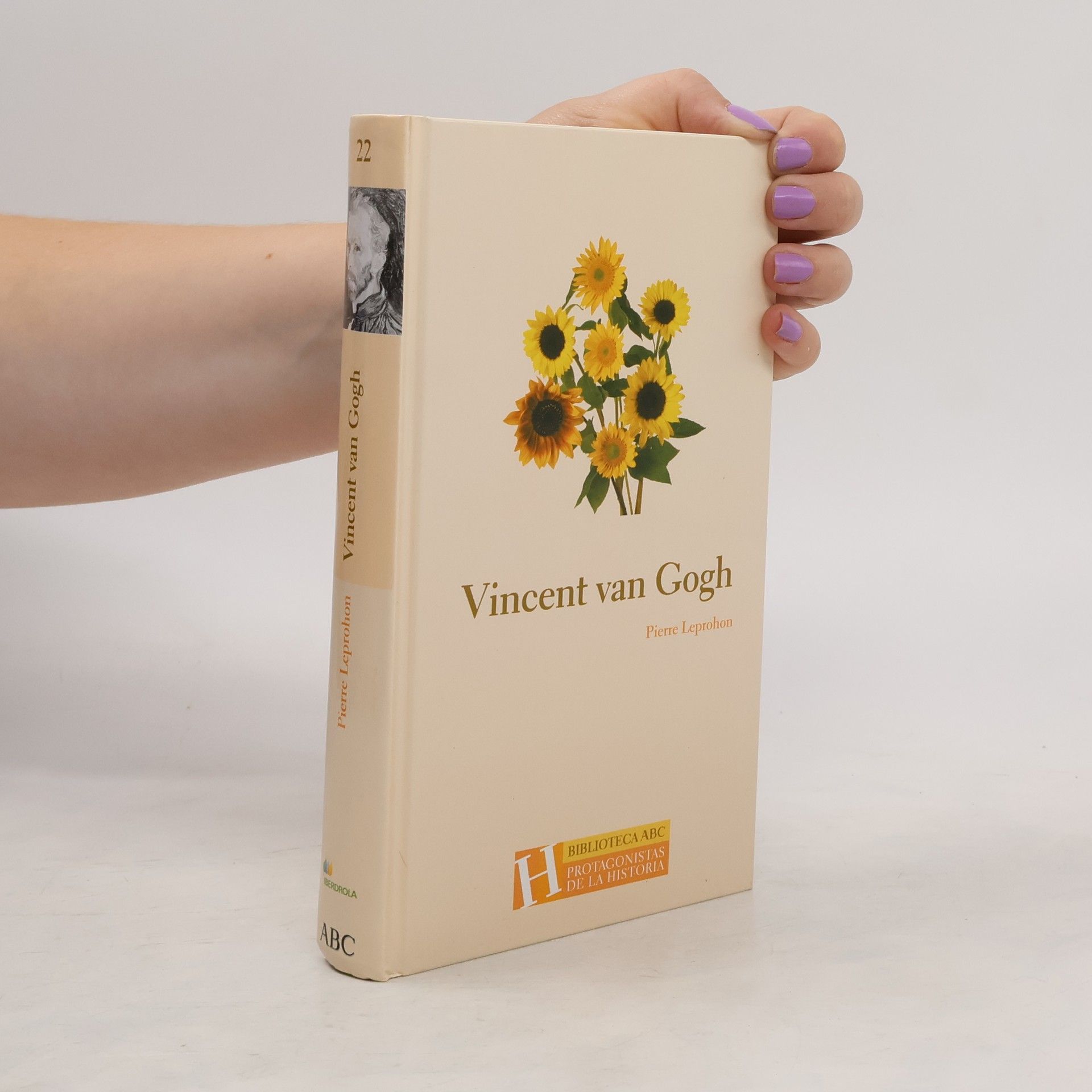 Leprohon Pierre Vincent van Gogh