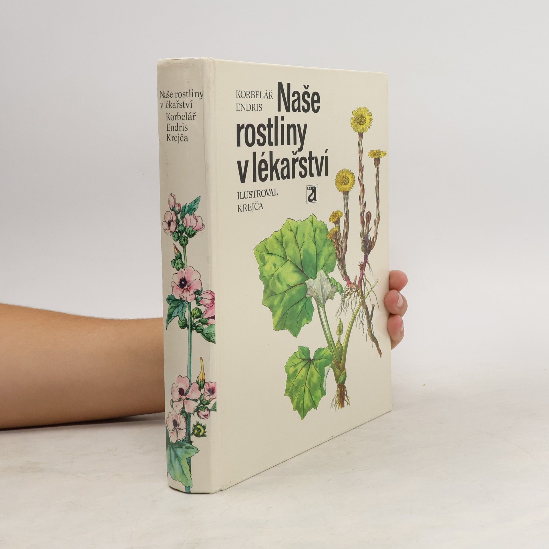 Naše rostliny v lékařství
