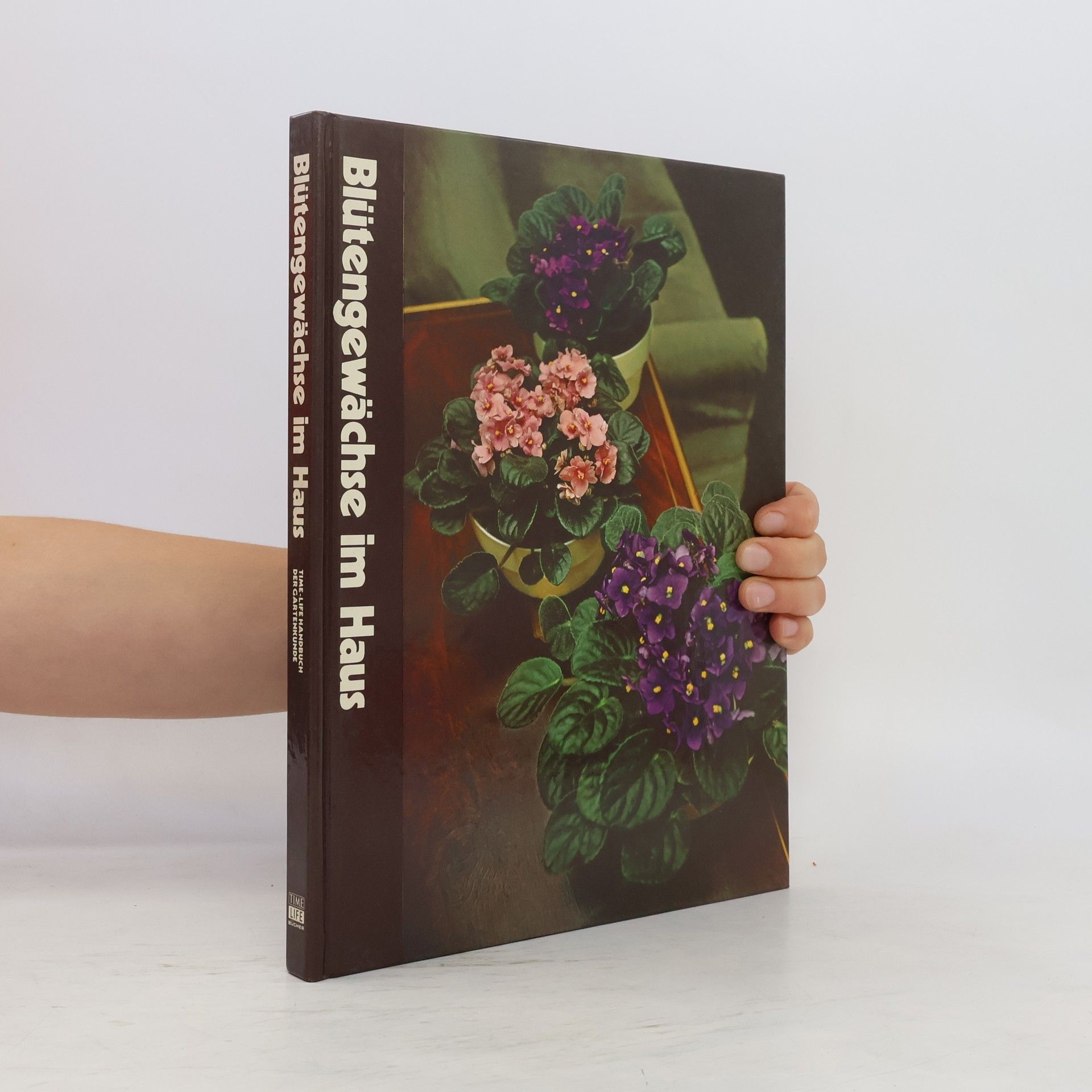 James Underwood Crockett Blütengewächse im Haus