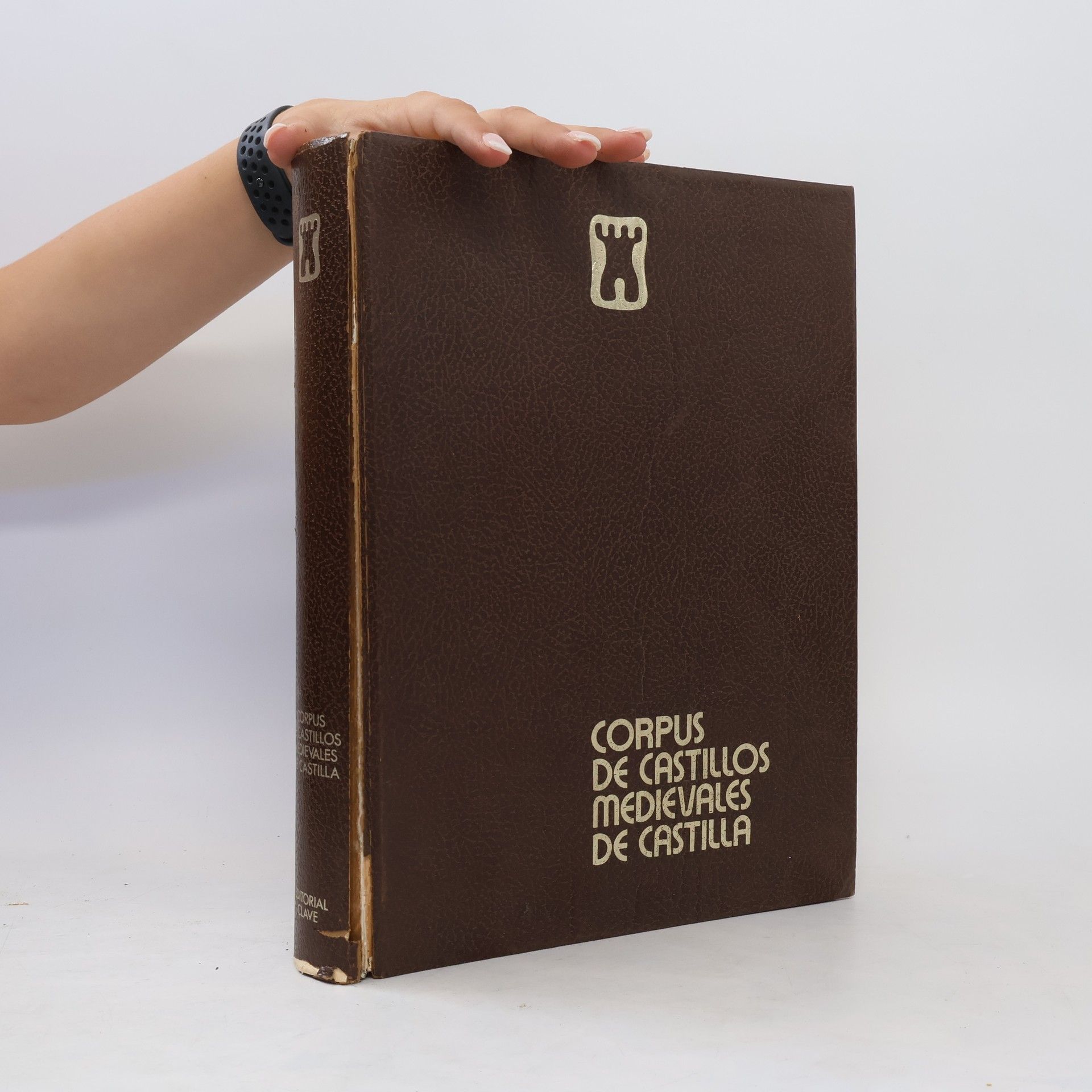 Juan Espinosa de Los Monteros Corpus de castillos medievales de Castilla